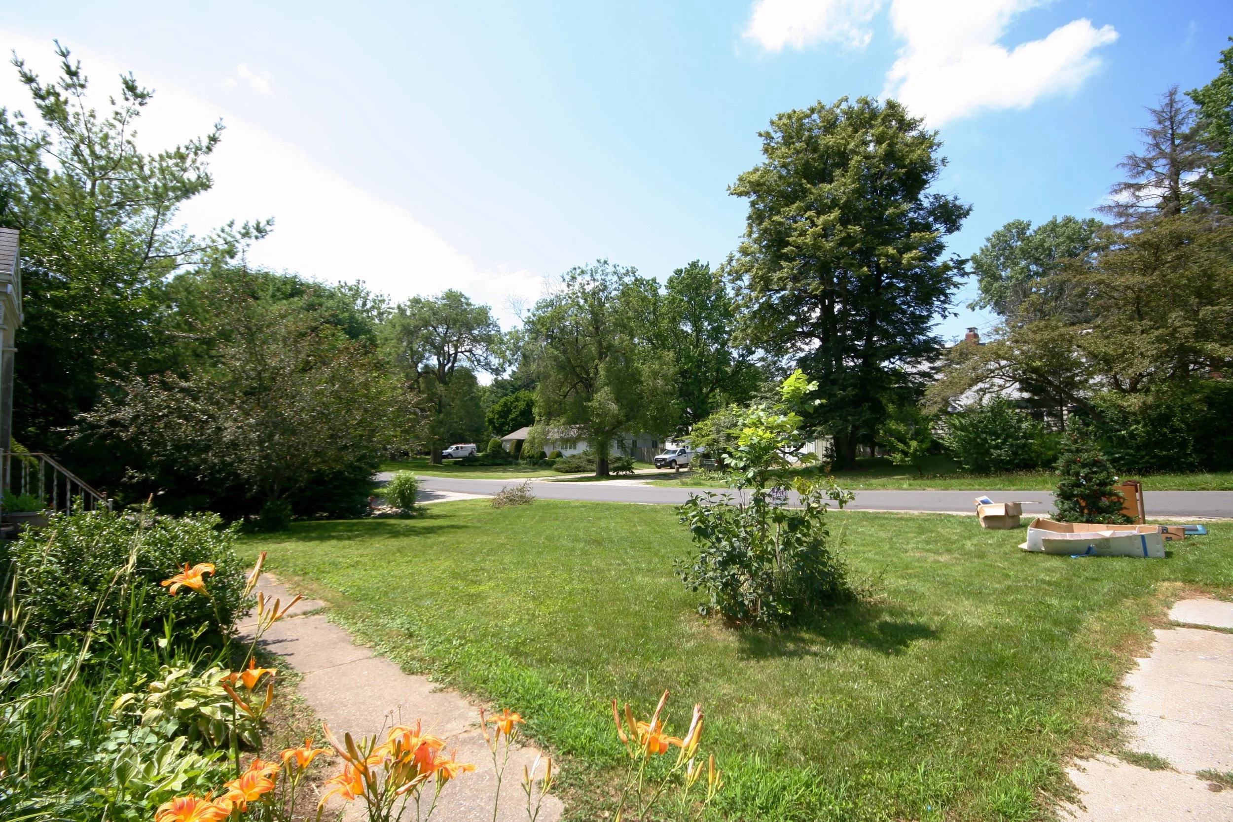 frontyard.jpg