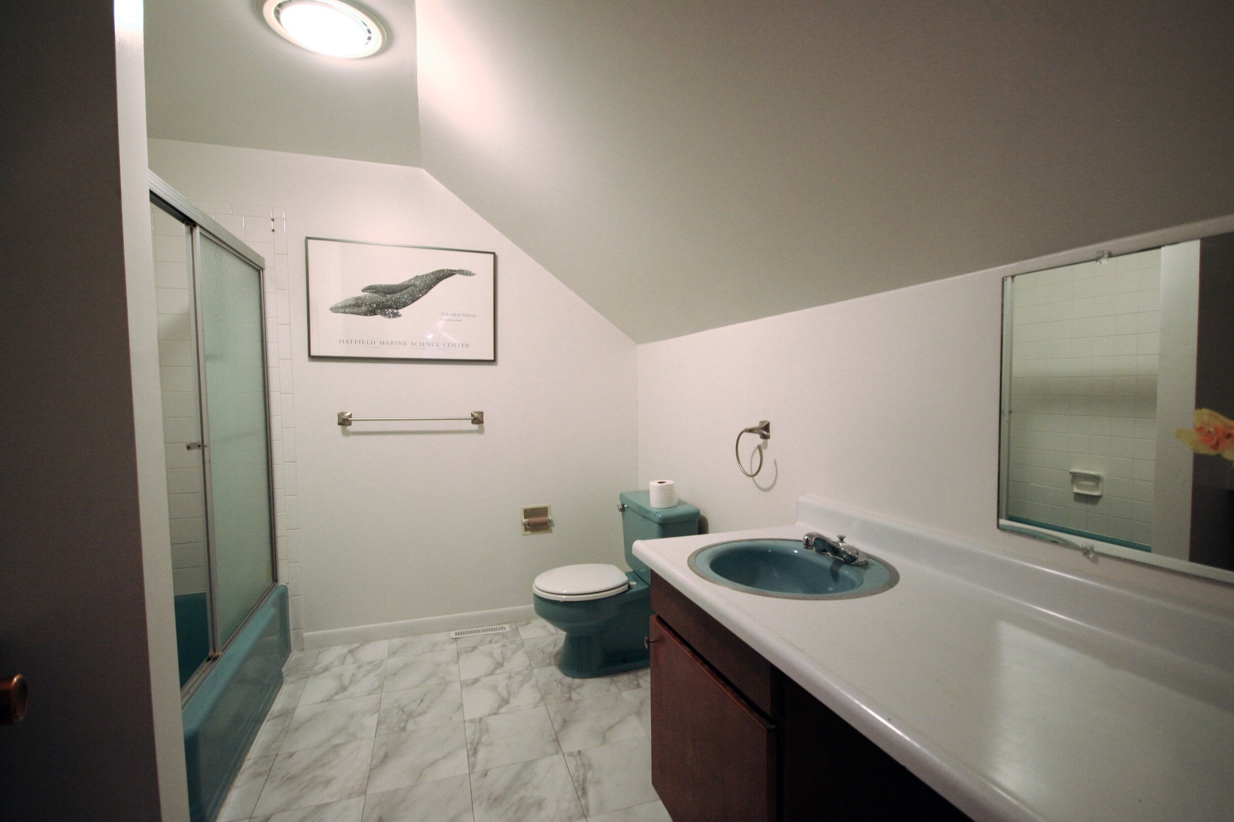 bath upstairs vanity toilet.jpg