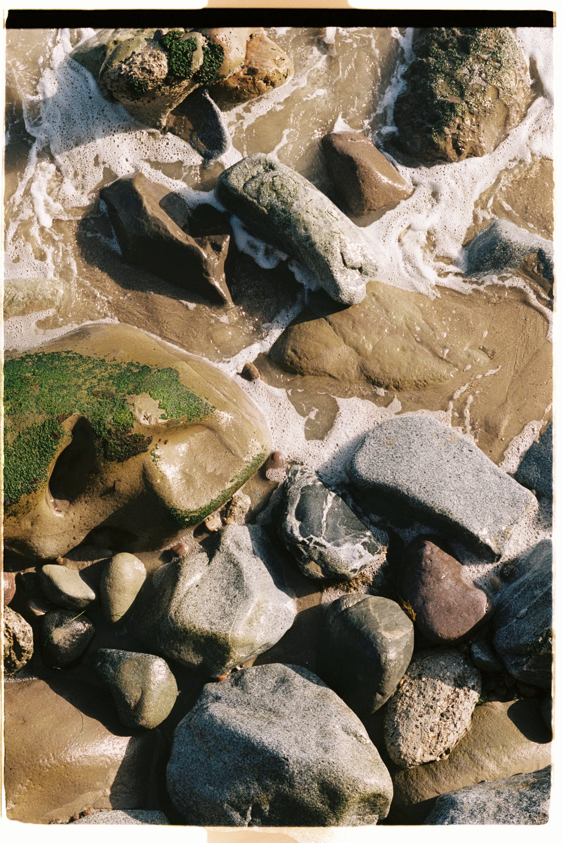 film 251.jpg