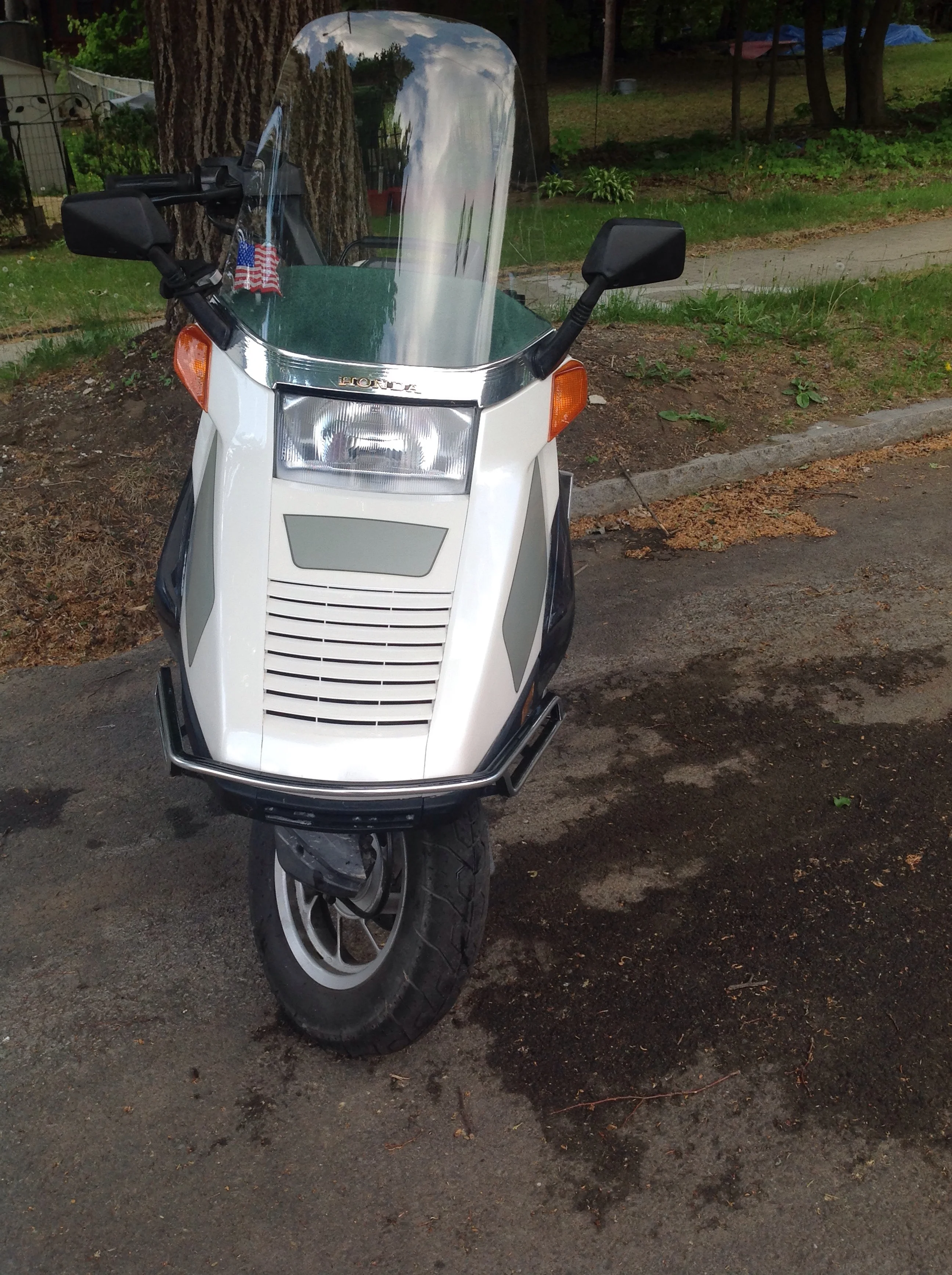 Front view