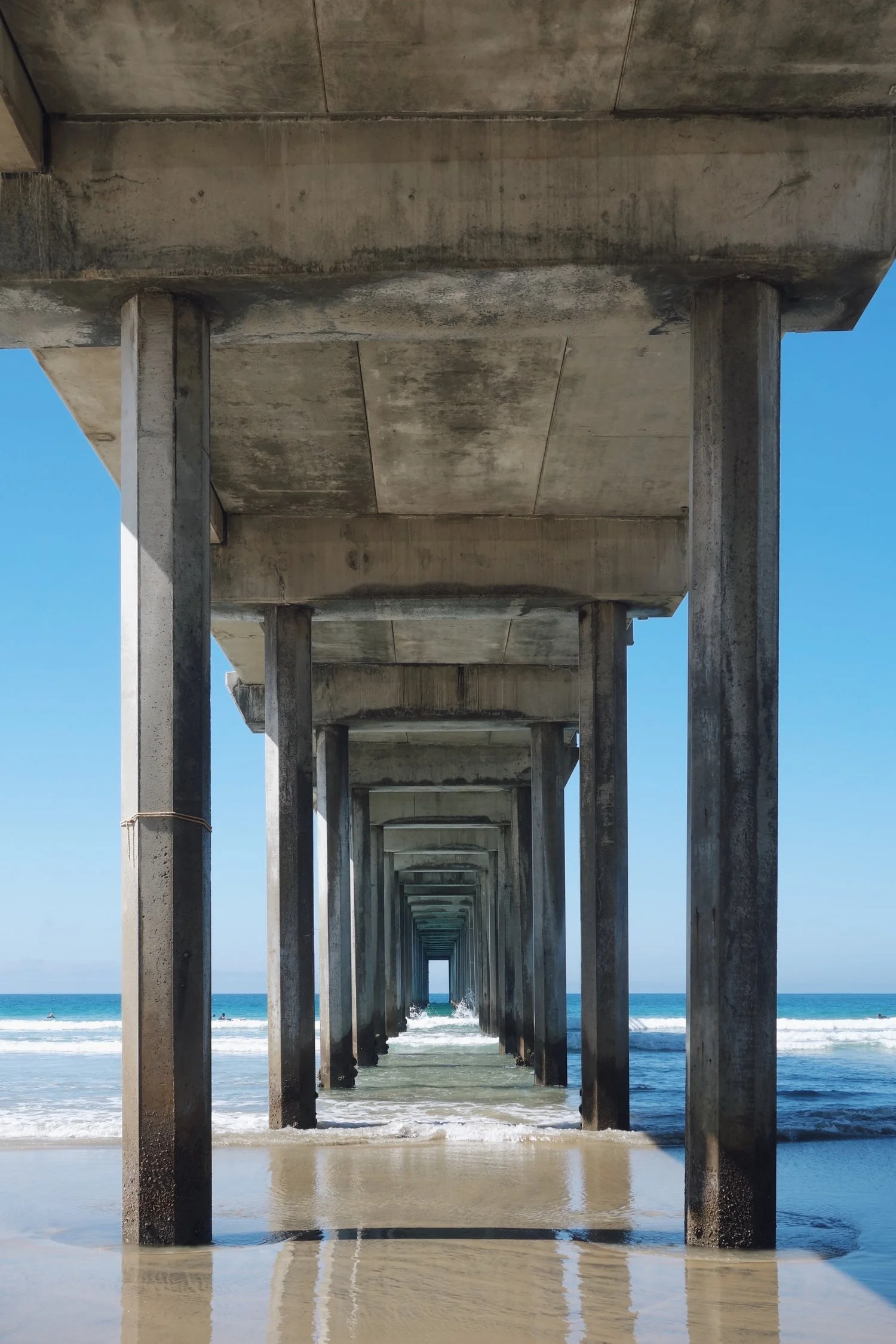 San Diego, Winter Wonderland.jpeg