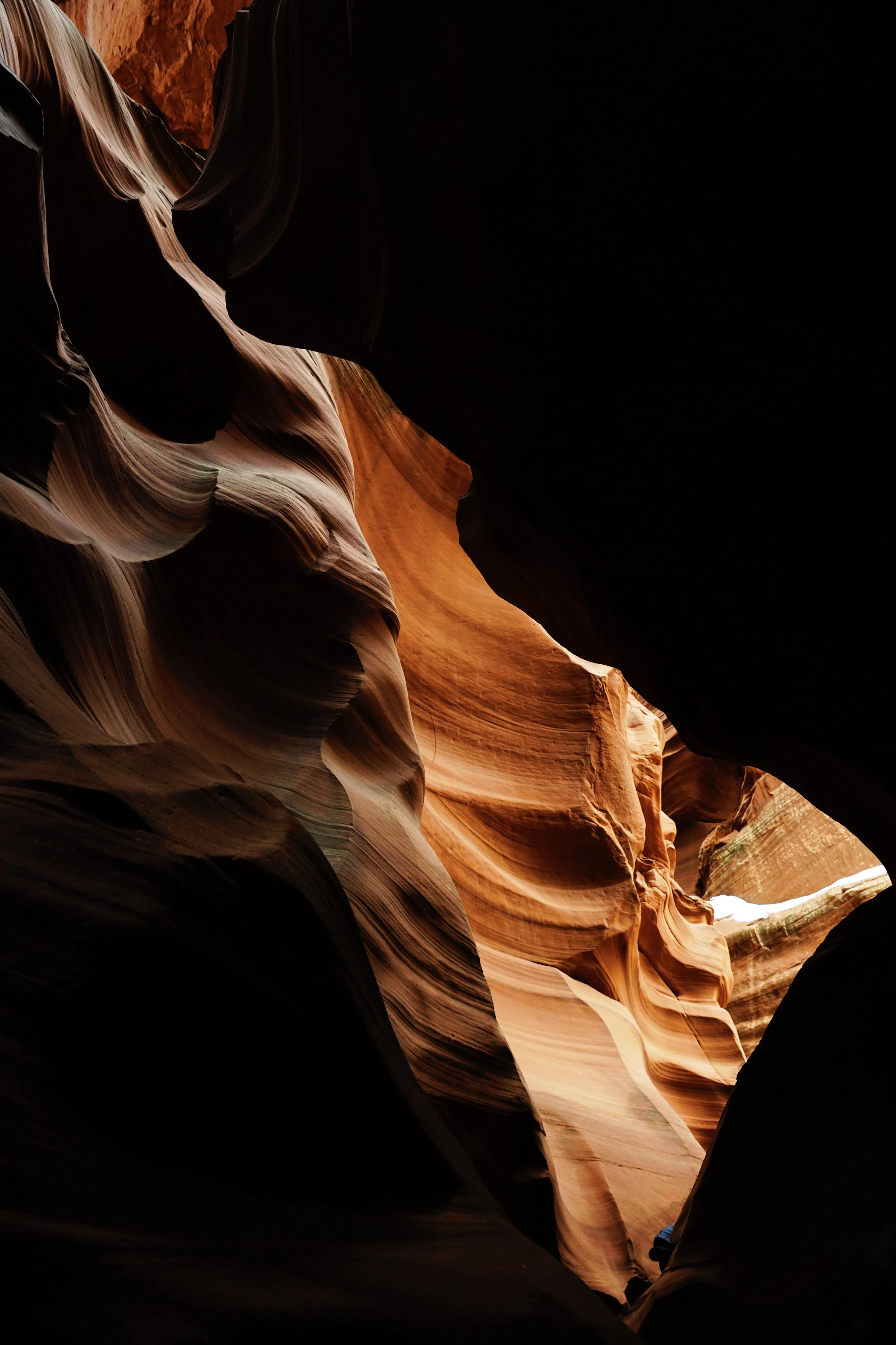 45E1AF1E-2366-408E-B457-F5276A6CF138-97E26DBC-E692-4B89-897A-069F5C003036.JPG