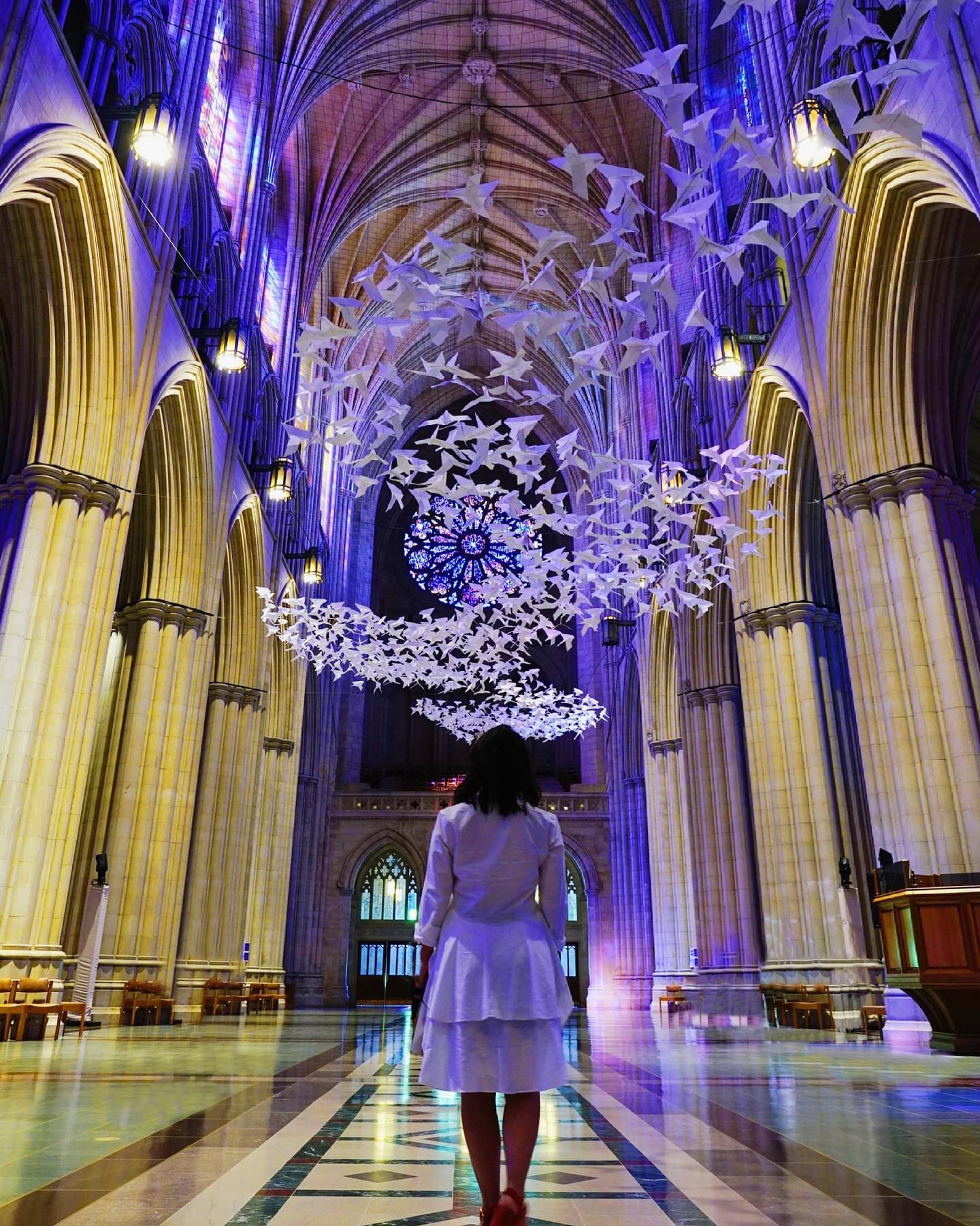 A flight above.
📐 &ldquo;Les Colombes&rdquo; by @michaelpendry
📍@wncathedral, WDC
📸 @plpete84
#architecturephotography #cathedraldoves #gothicarchitecture #cathedral