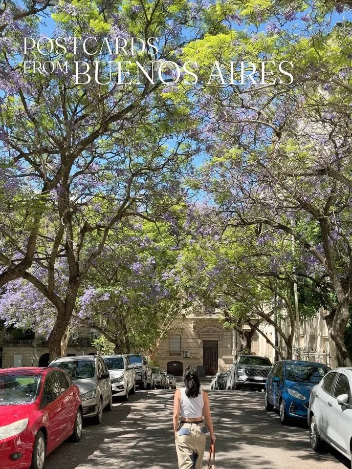 Jacarandas and Holidays: Postcards from Buenos Aires 🇦🇷 
Escaped the early clutches of winter for a south of the equator spring. Here are 20 frames and recommendations from a first time visitor. 
🗓️ Late November

🩵 @atis.bar in San Telmo
🌞 Ceme