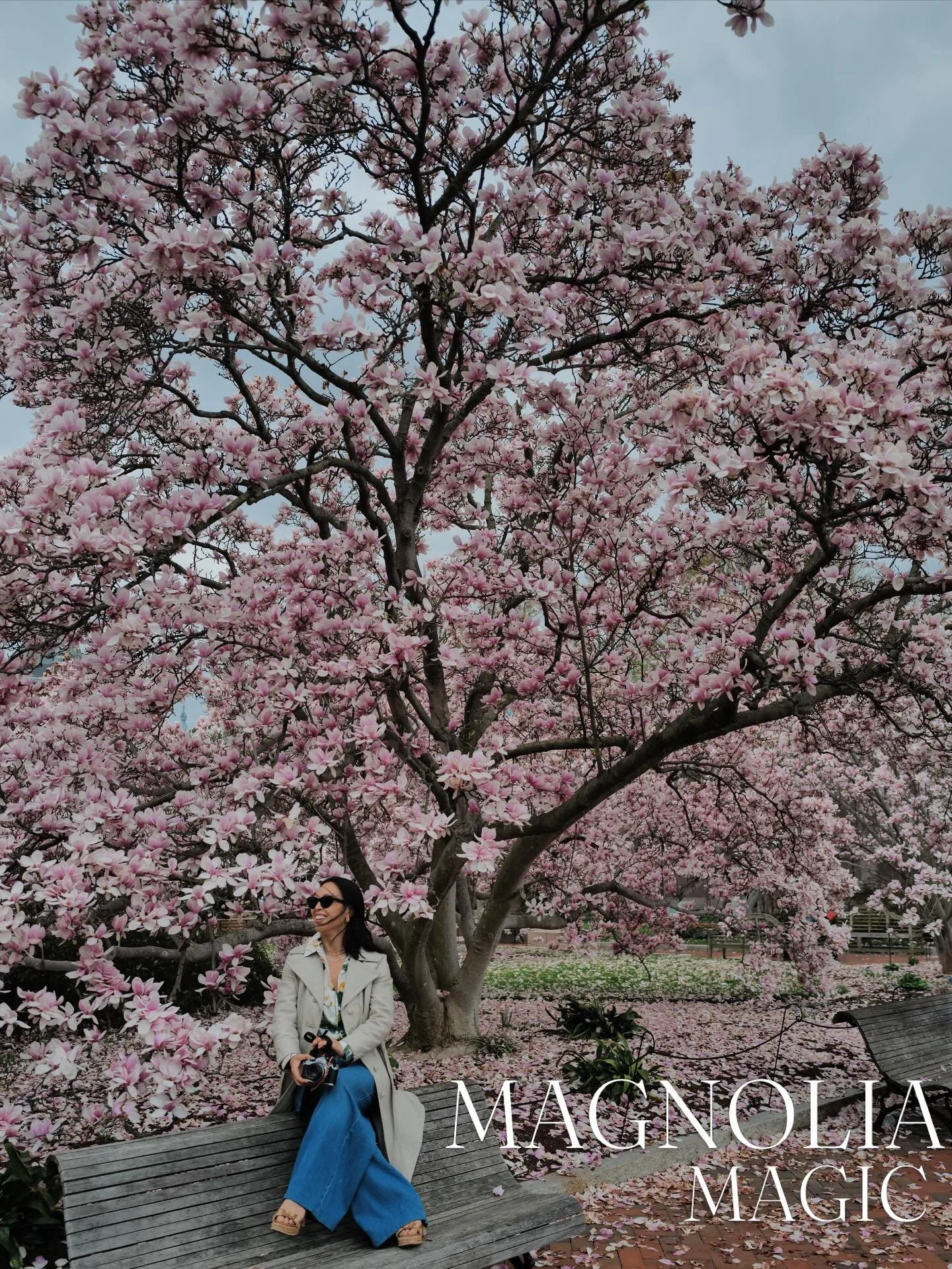 Enchanted to meet you every year.
While it is peak cherry blossom time in DC right now, I like to show a little love to the magnolia magic that happens right before it. 
📍 Enid A. Haupt Garden @smithsoniangardens (2026)
📍 Rawlins Park (2025)
📸 @fi