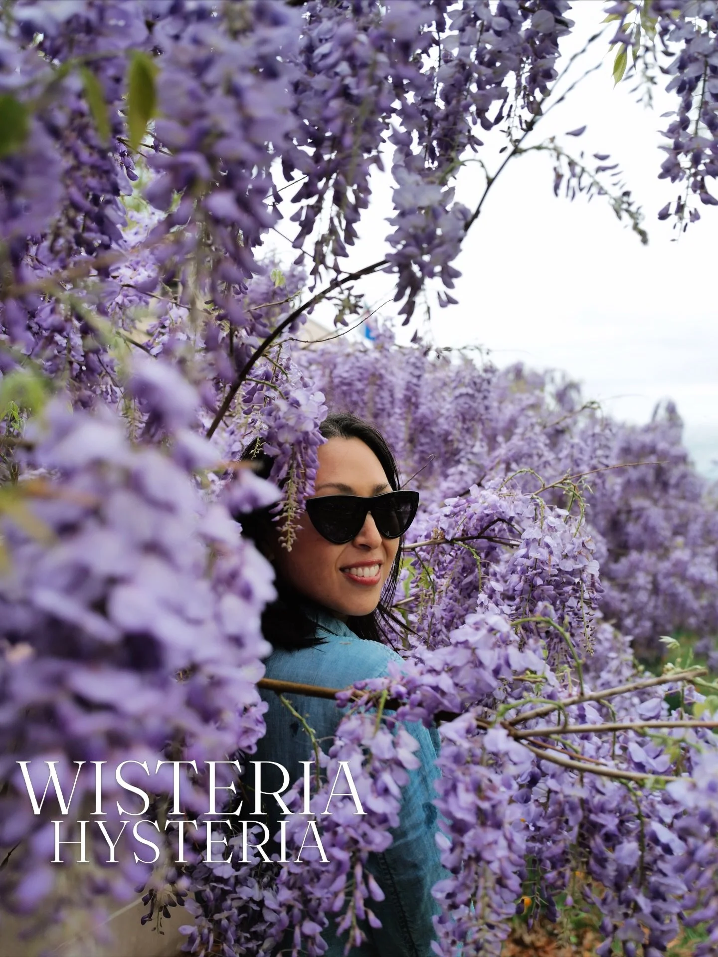 I call this series &ldquo;Late Bloomers&rdquo; 😅

Wisteria as enjoyed at the @smithsoniangardens outside the @amhistorymuseum and Kwanzan Cherry Blossoms at Hains Point/East Potomac Park in Washington, DC. 
🗓️ April 2026

🍇 @amhistorymuseum 
🌸 Ha