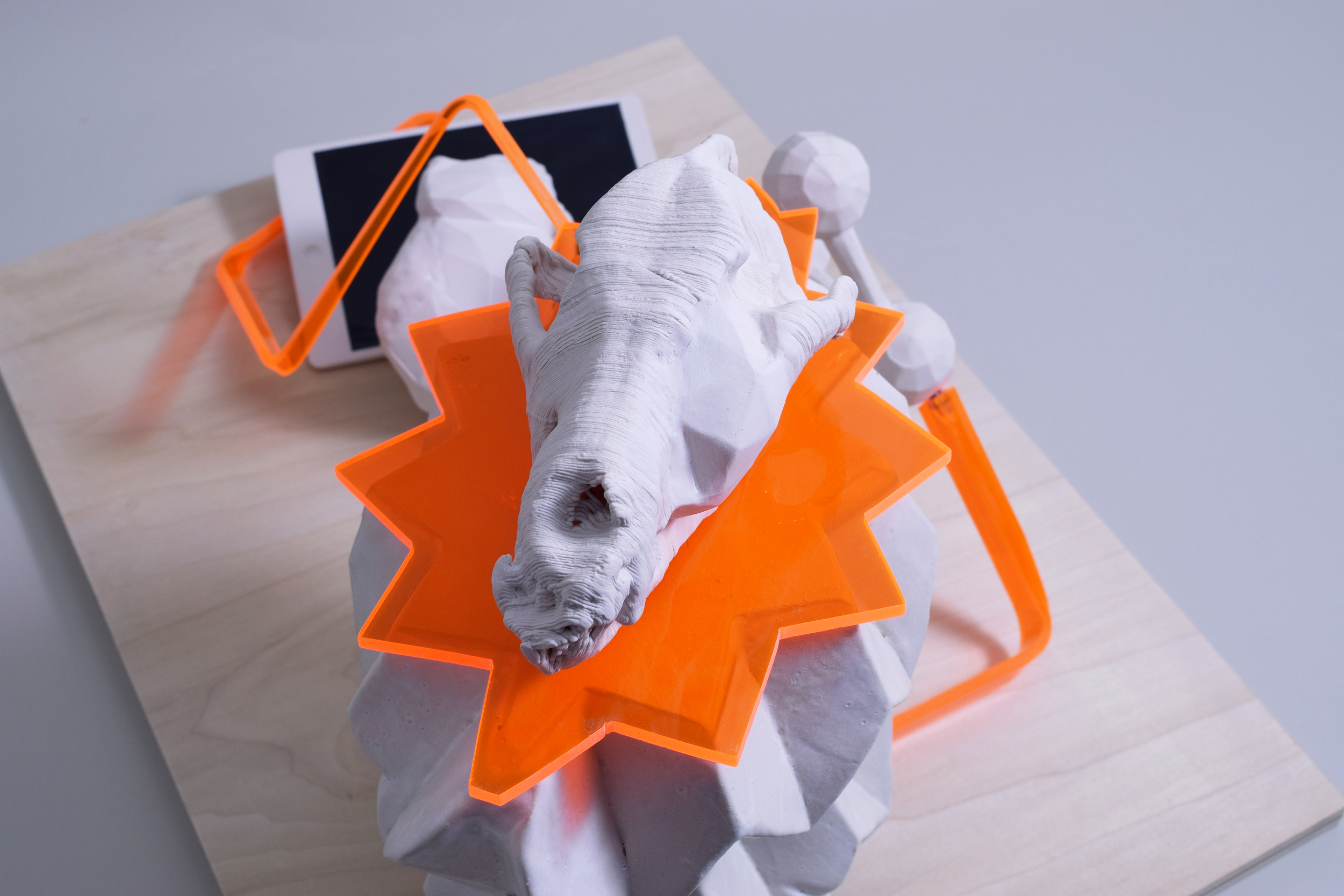 Composition with Skull (detail)