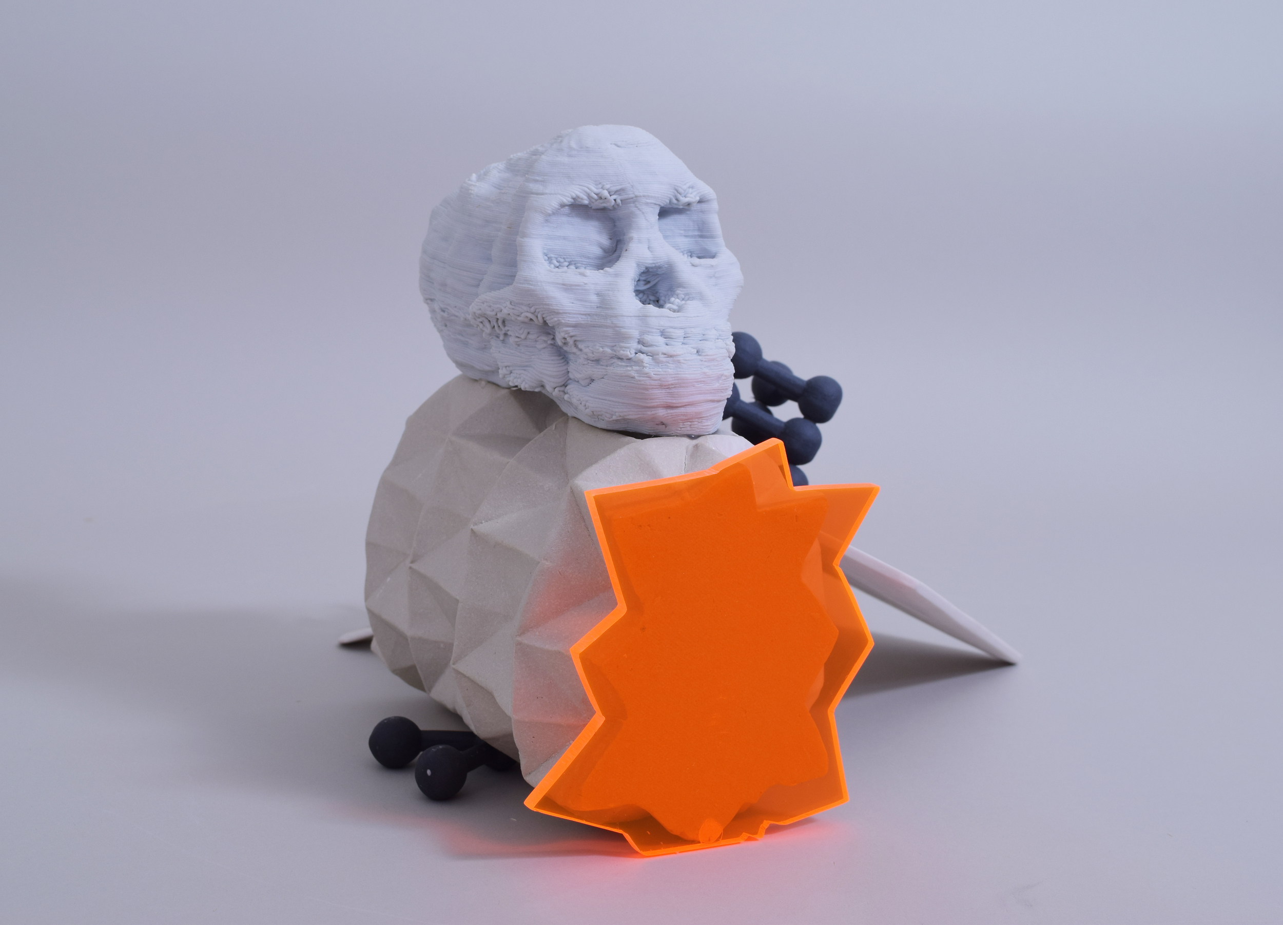 Composition with Skull and Doffodil (side view)