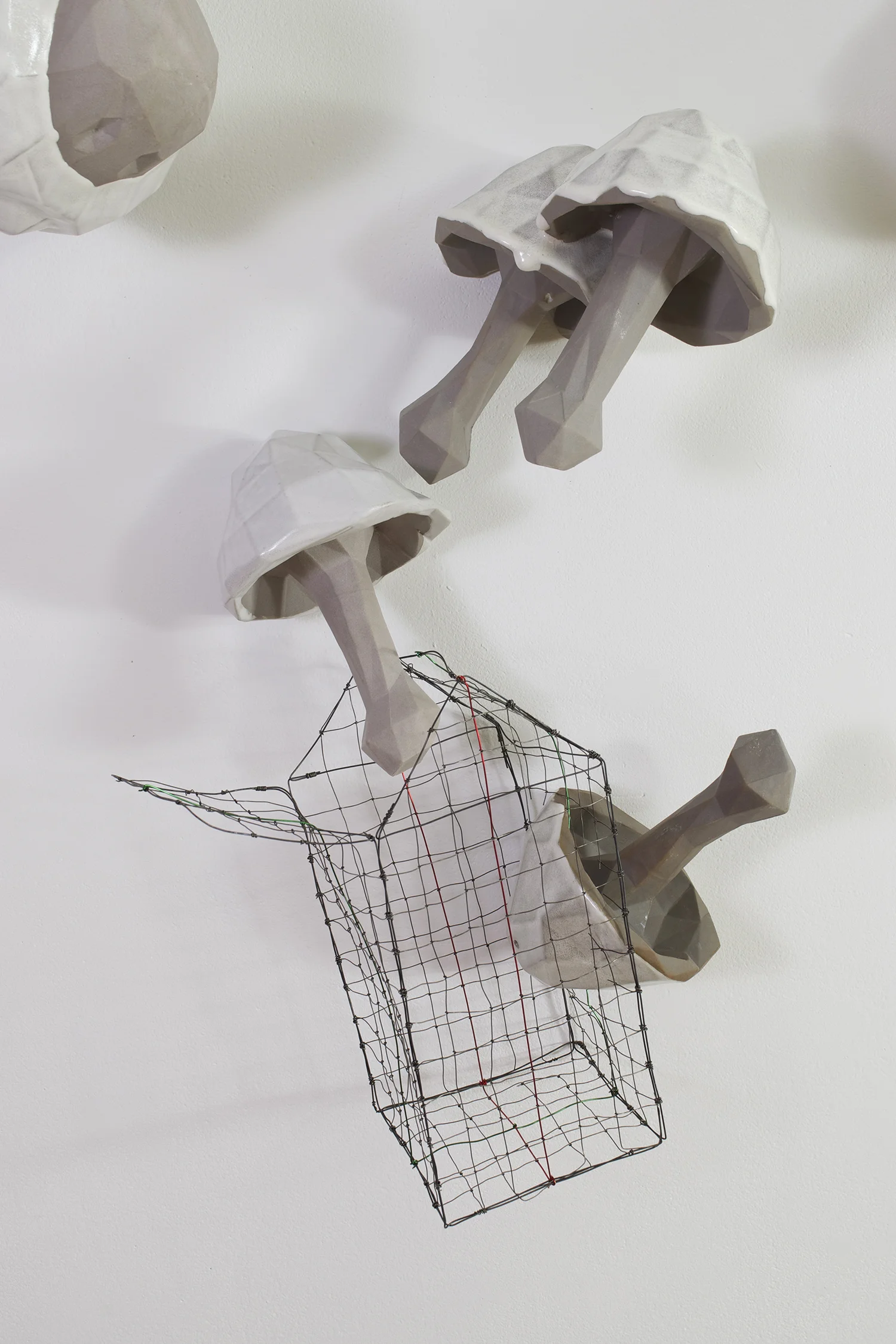 Basket of Mushrooms (detail)