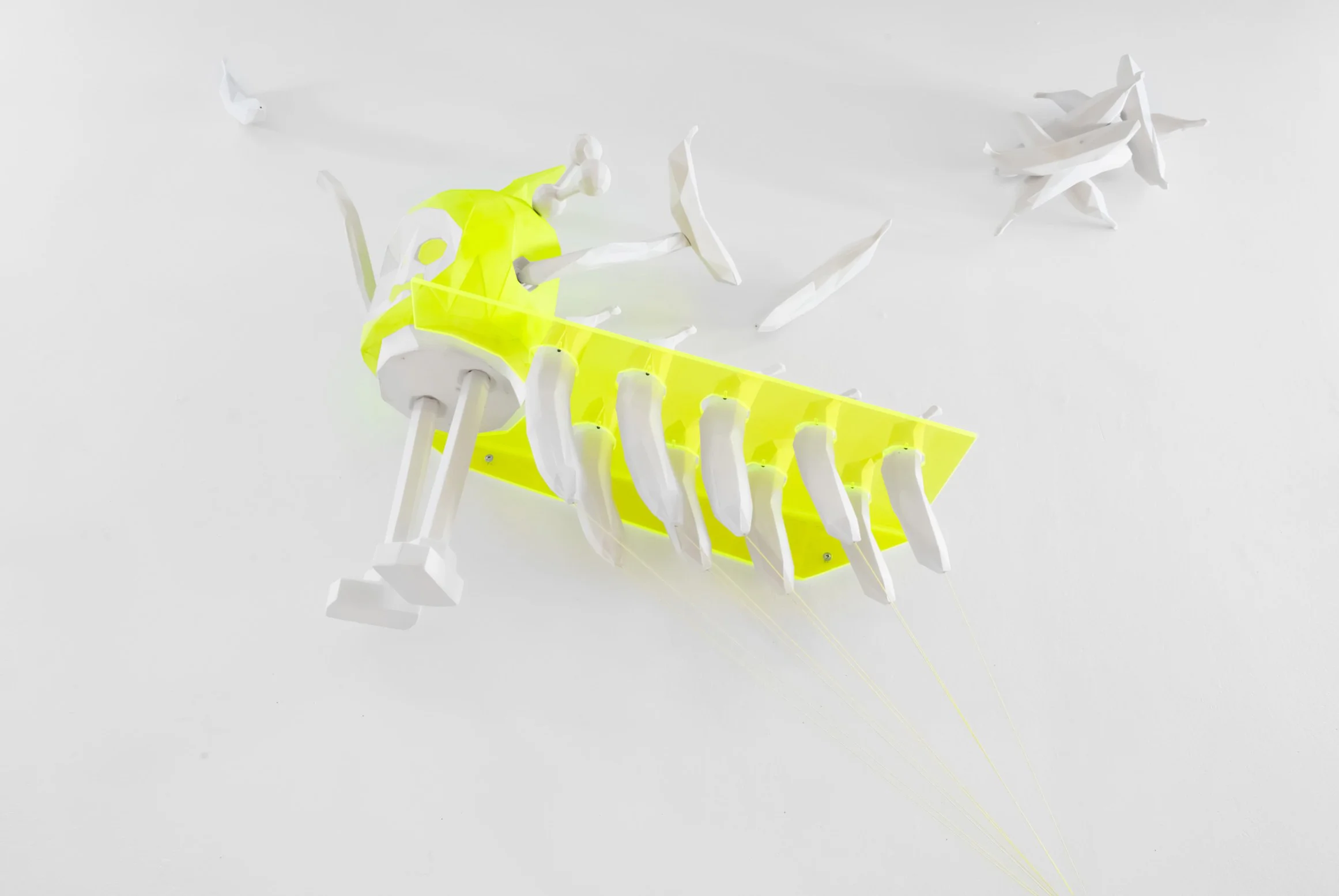 Plate of Bananas Green (view from bottom) 