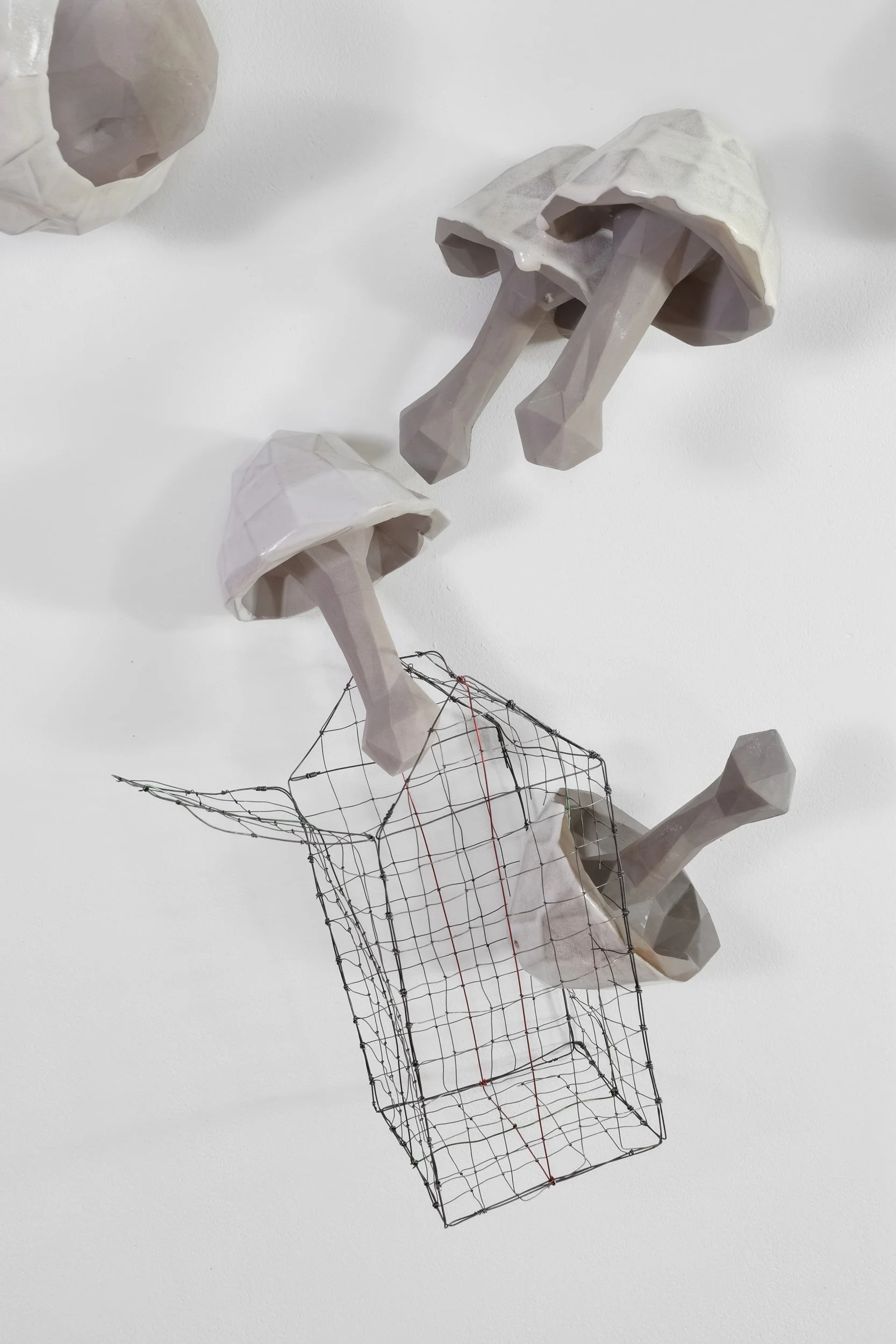 Basket of Mushrooms (detail) 