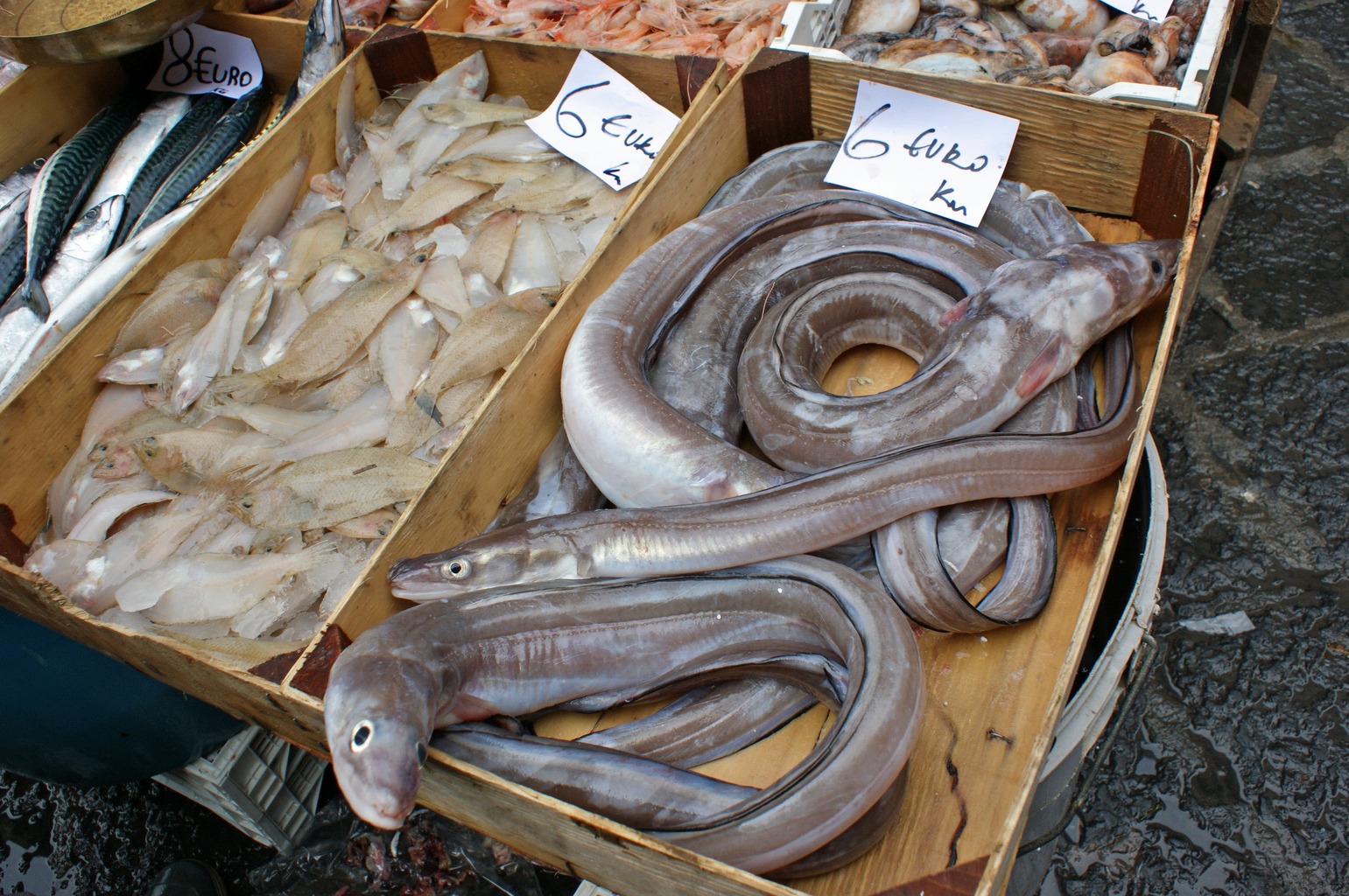 5856713-Fresh_fish_market_Catania.jpg