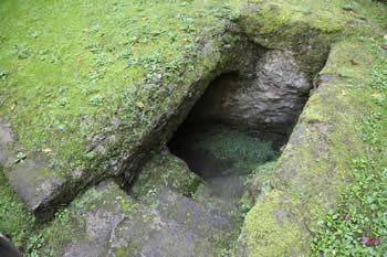 mostri-turtle-crypt.jpg