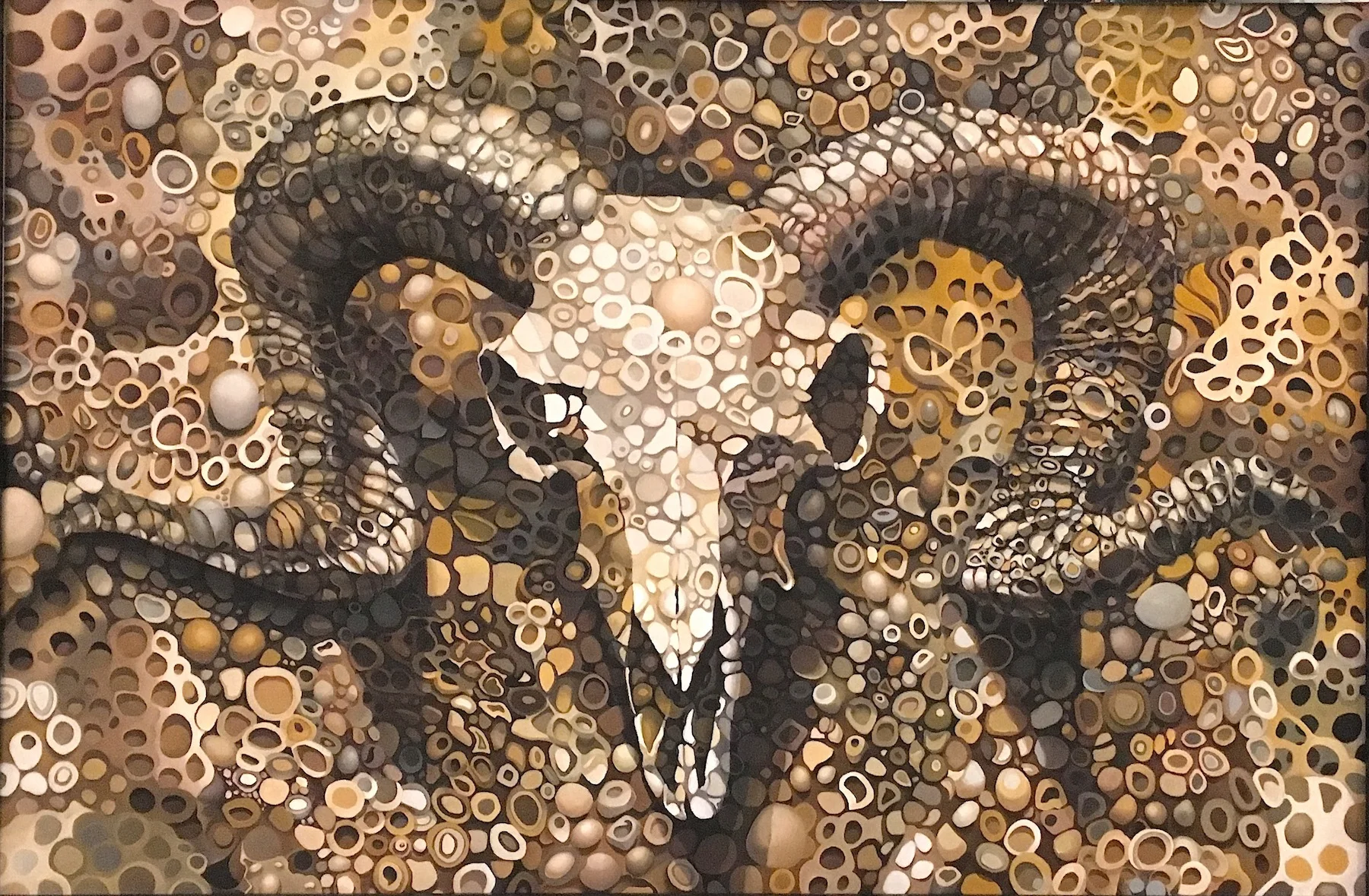 Skull