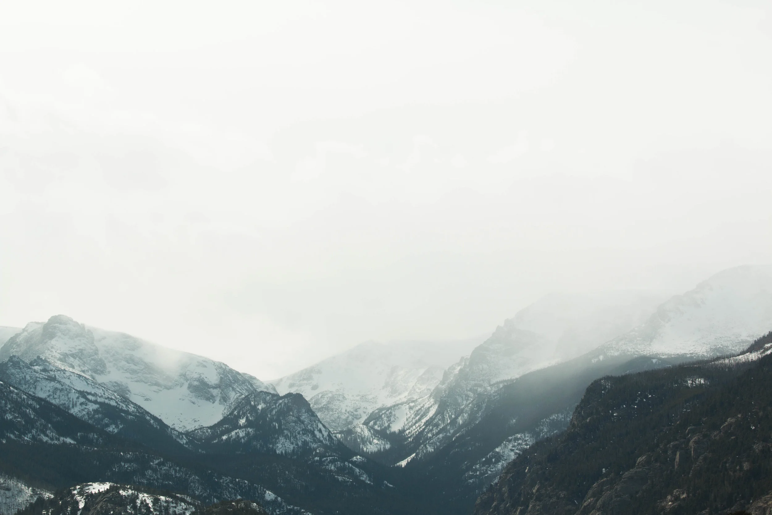 'rado