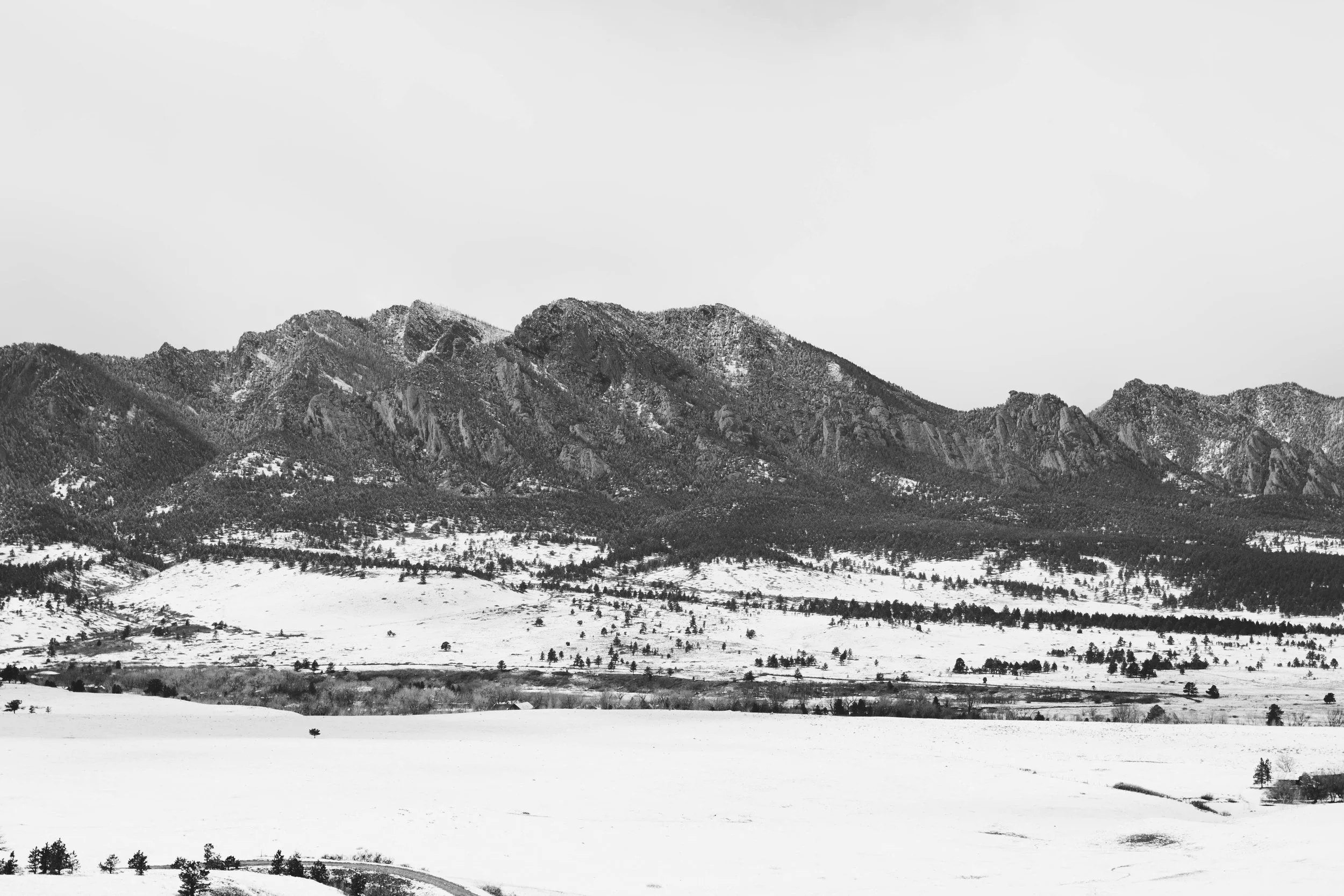 _MG_0821.jpg