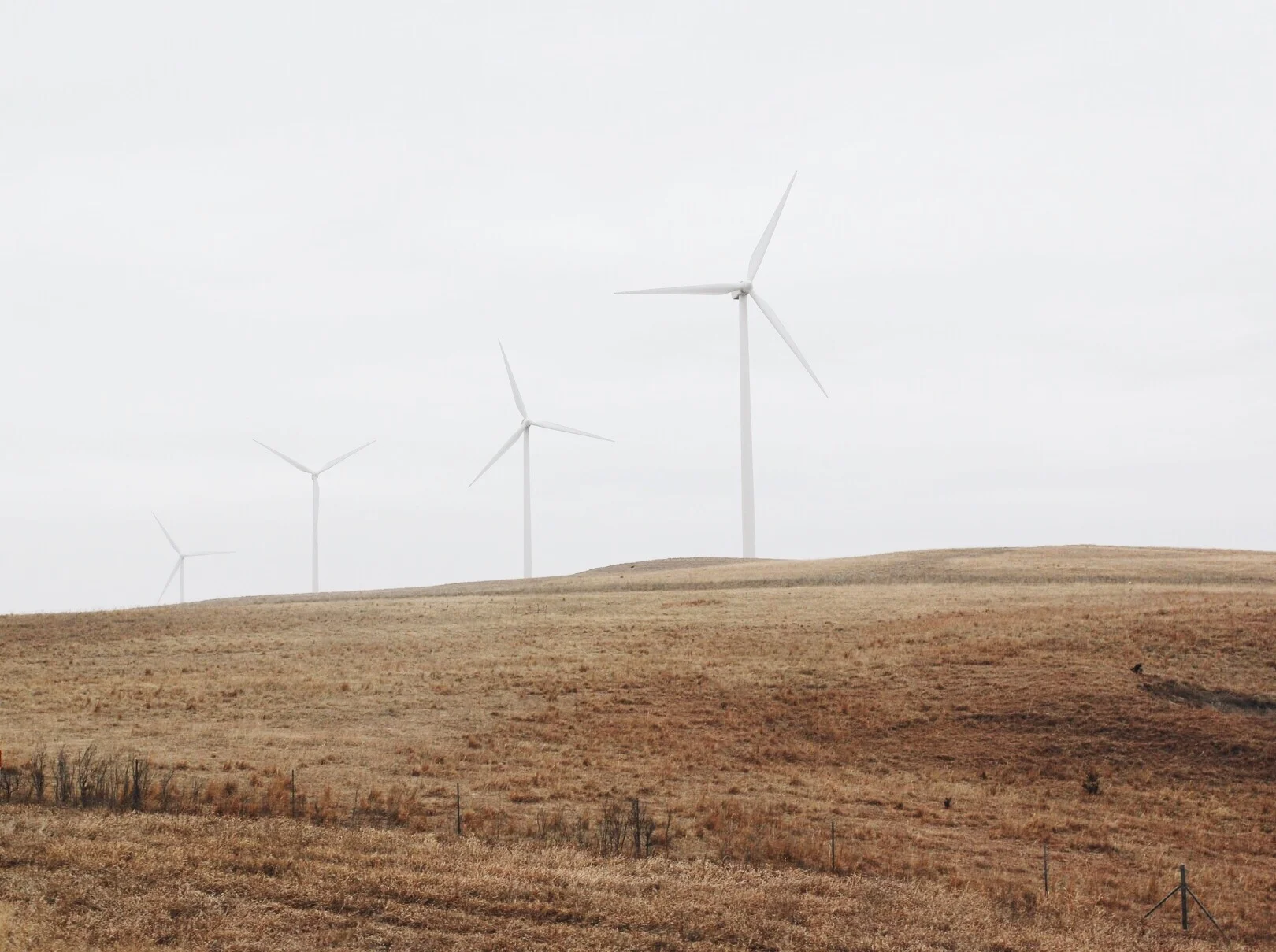 The Noises in my Name