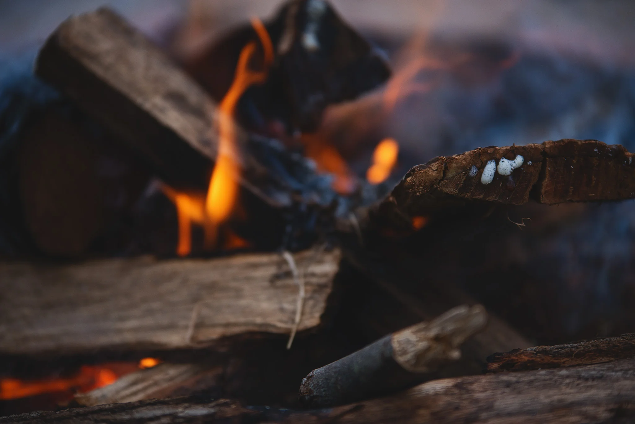 a year of stories - fire - 8 of 52