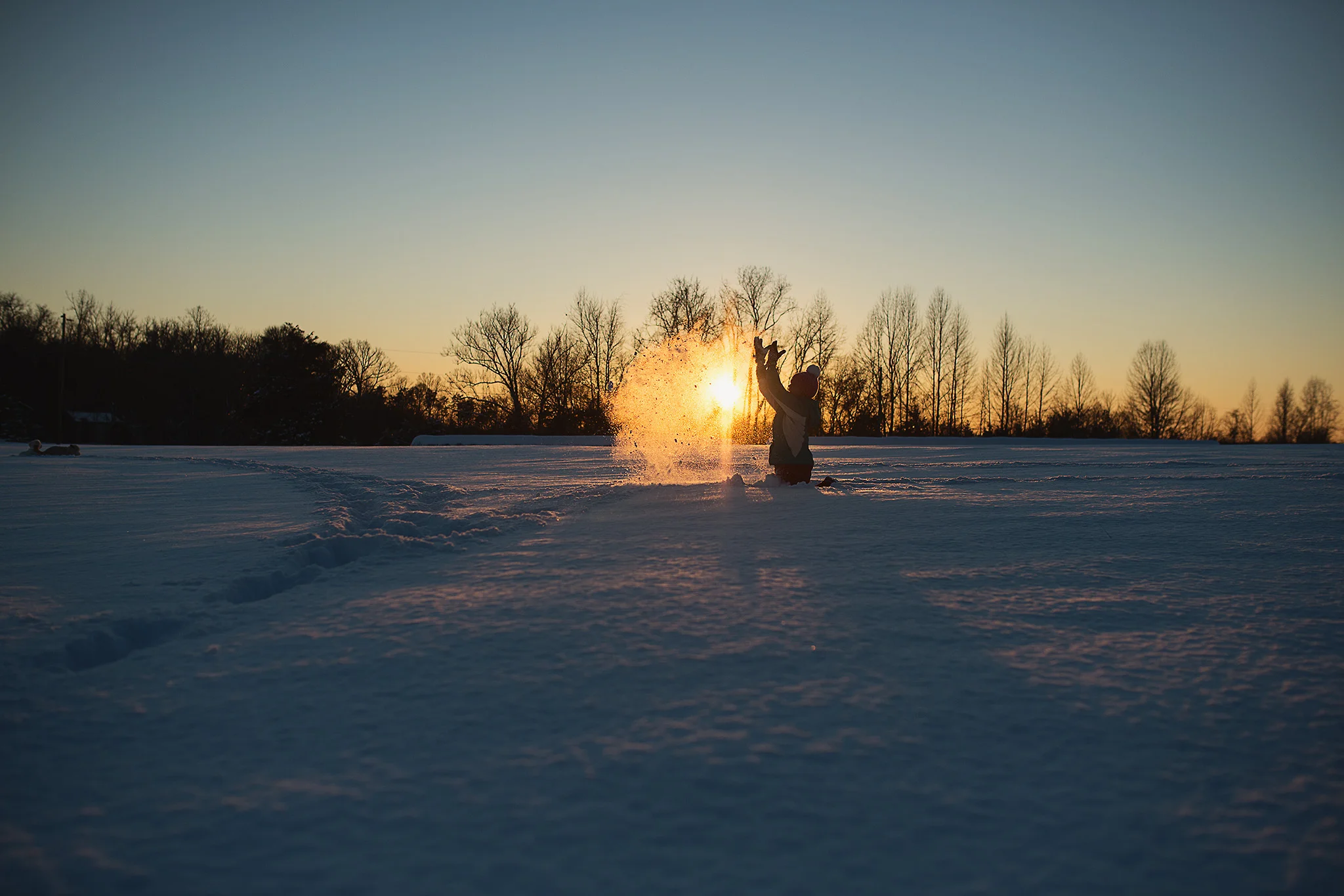 D17_7141_010717.jpg