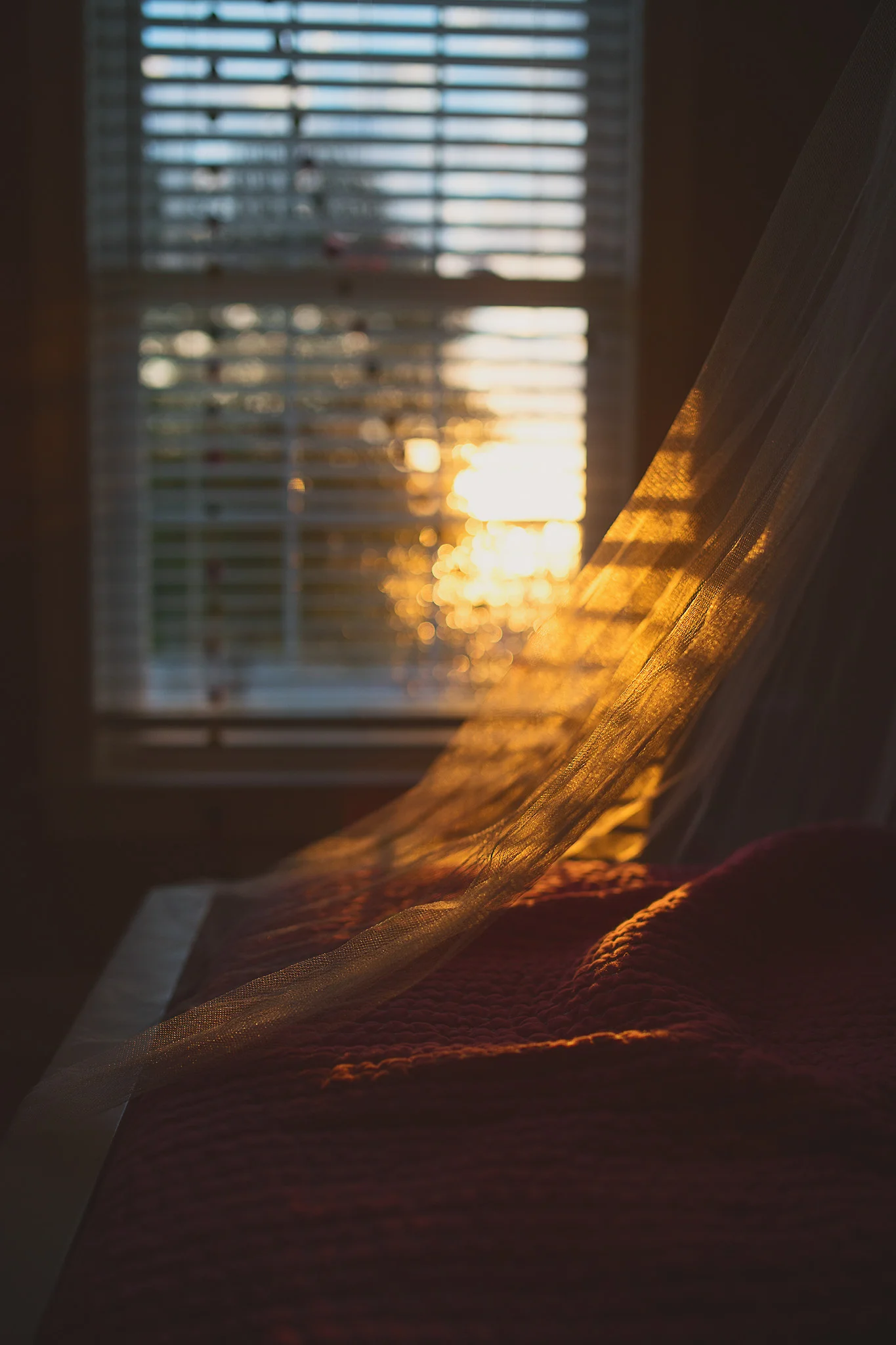  Wonder, Lost, Whimsy, and Rest: Photography as Reverie