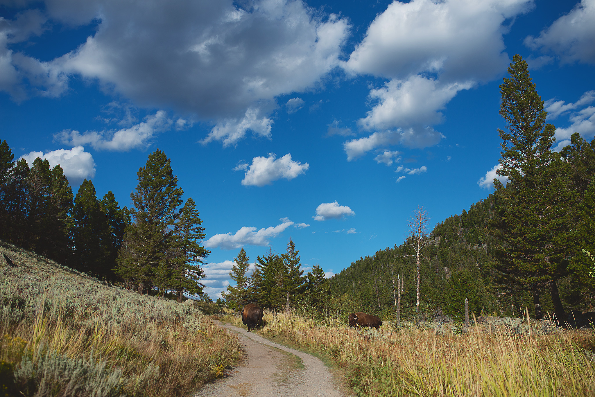 D18_3438_090118.jpg
