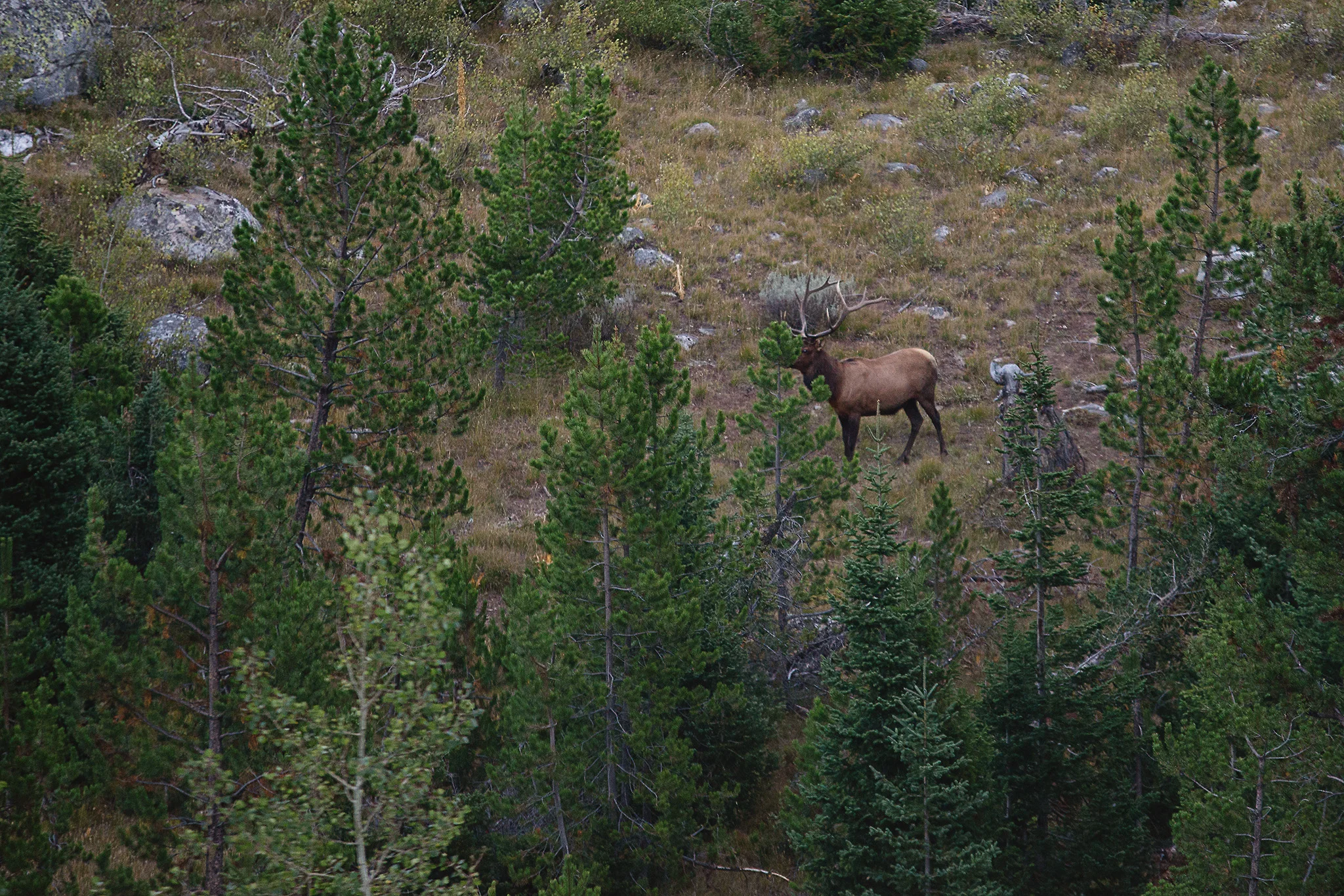 D18_4133_090418.jpg