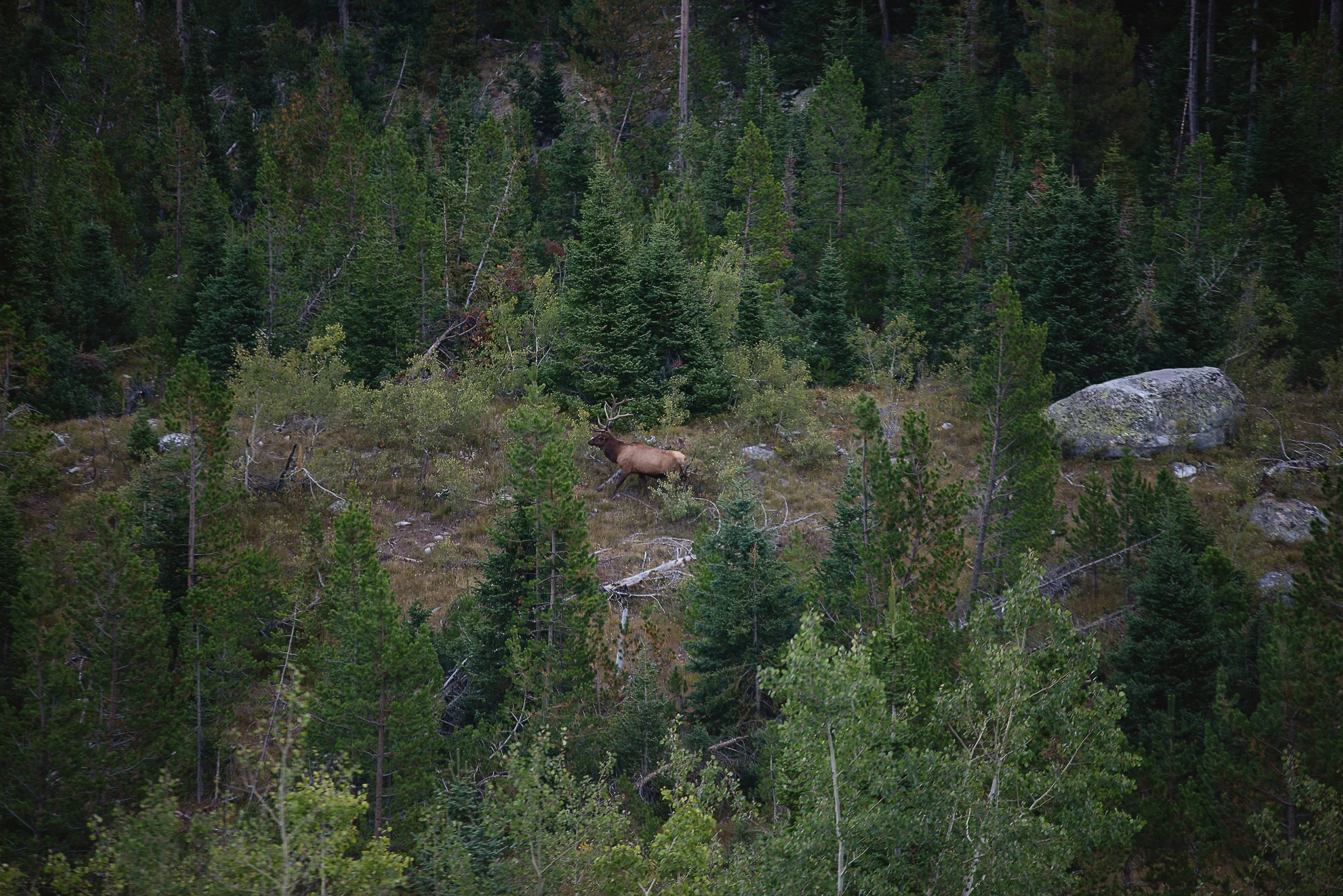 D18_4136_090418.jpg