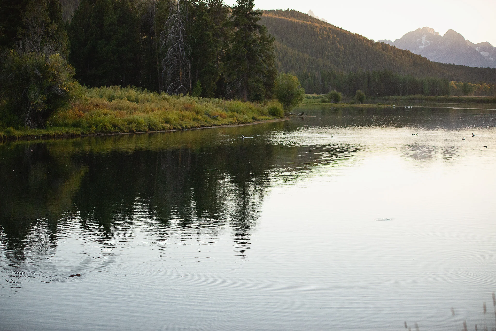 D18_4011_090318.jpg