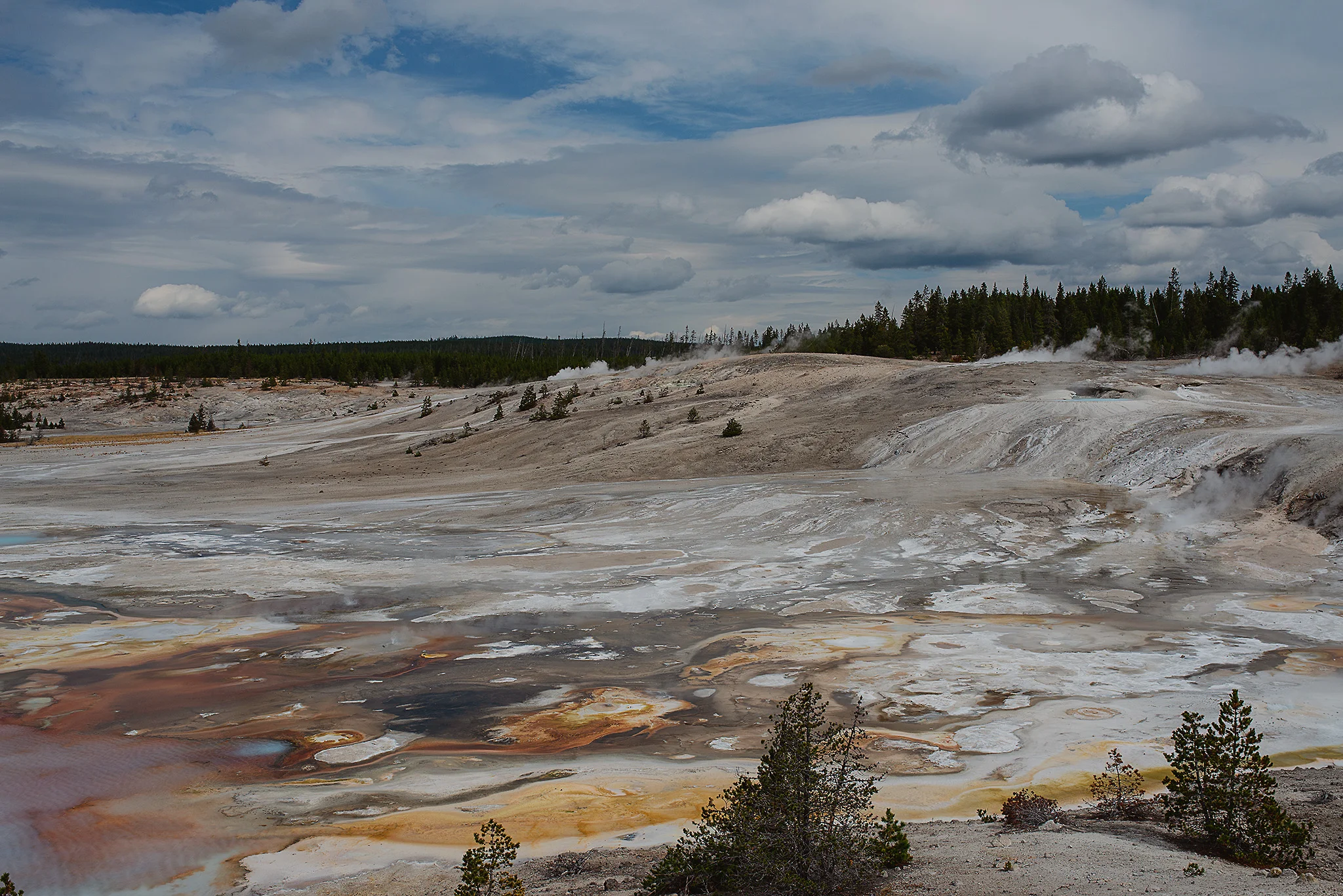 D18_3126_083118.jpg