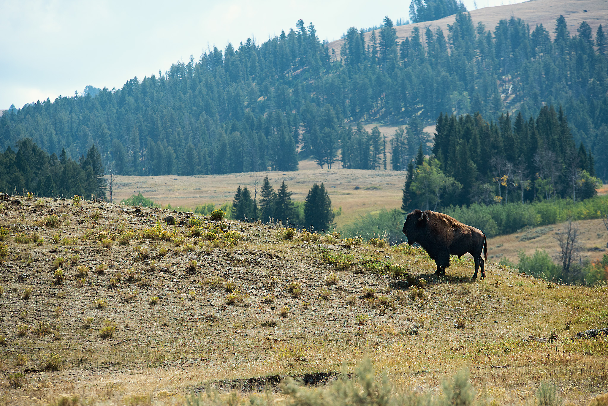 D18_4610_090718.jpg