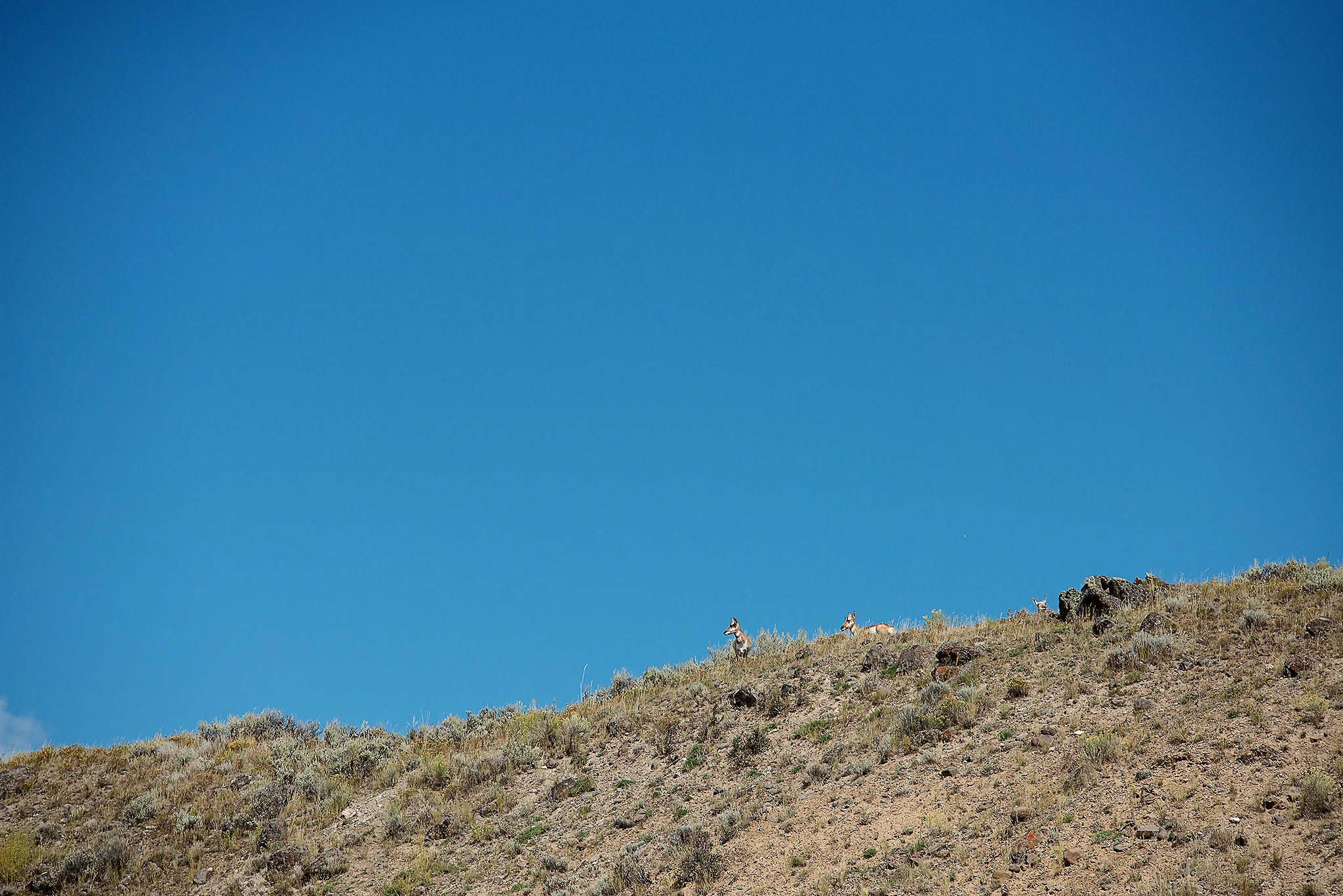 D18_4636_090718.jpg