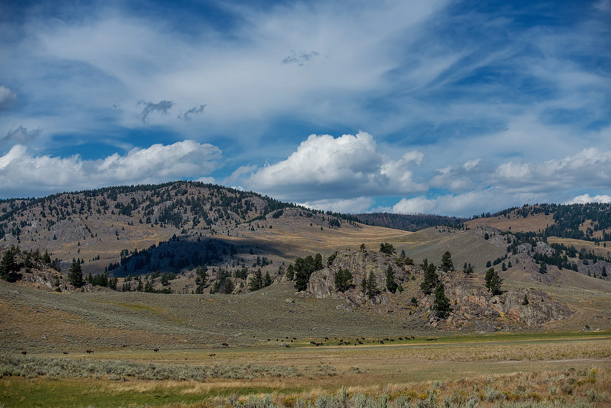 D18_3271_090118.jpg