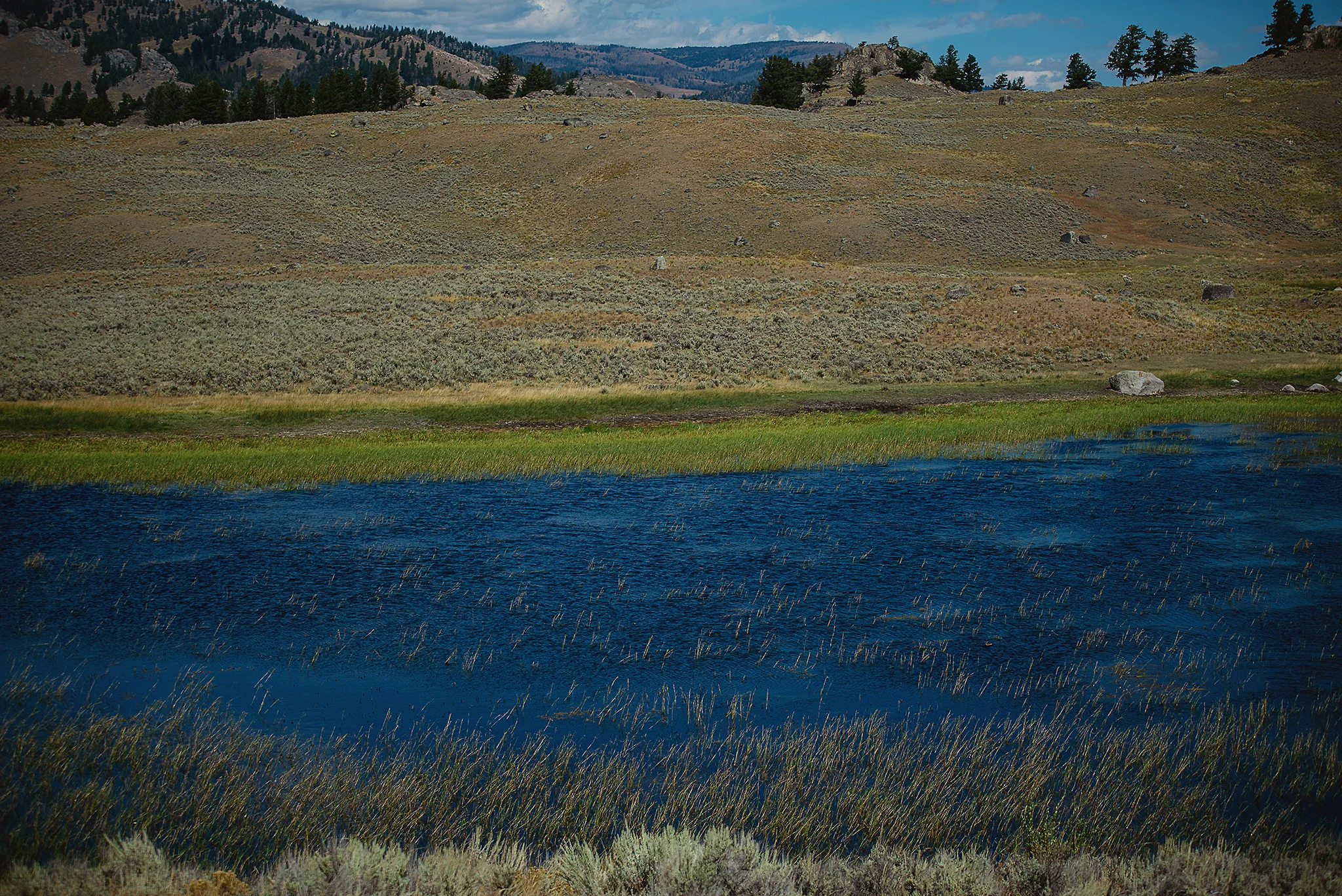 D18_3267_090118.jpg
