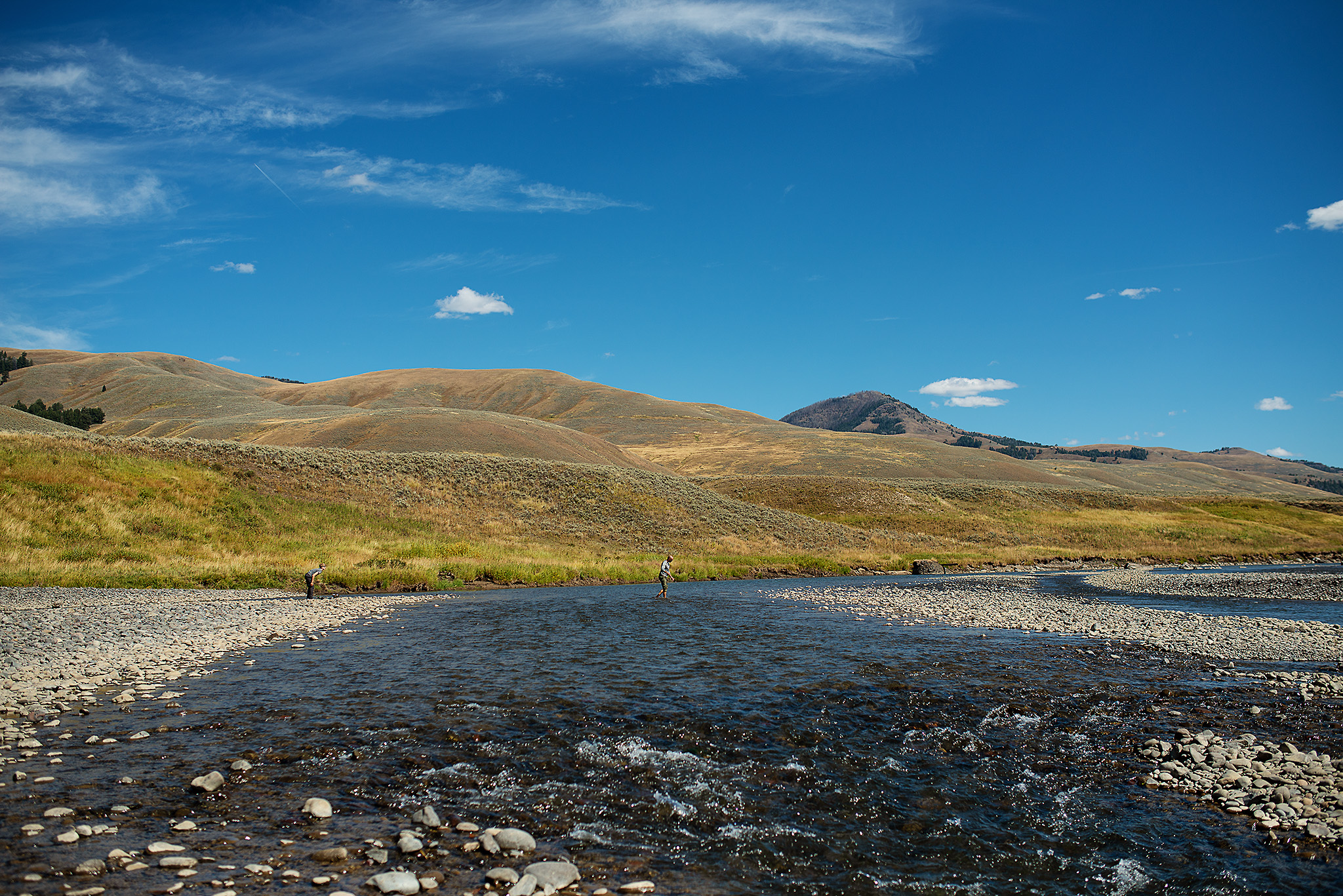 D18_3294_090118.jpg