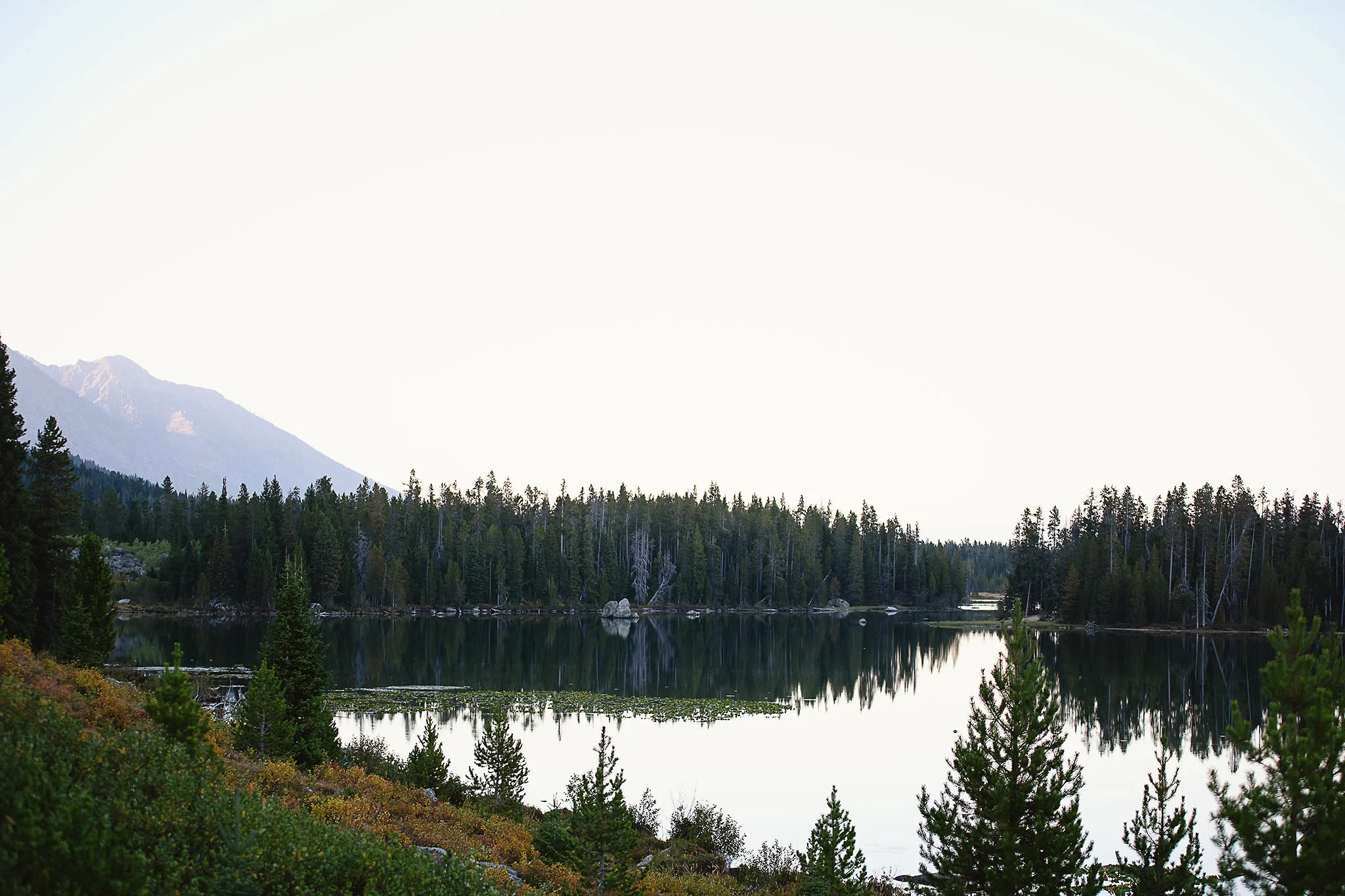 D18_4146_090418.jpg