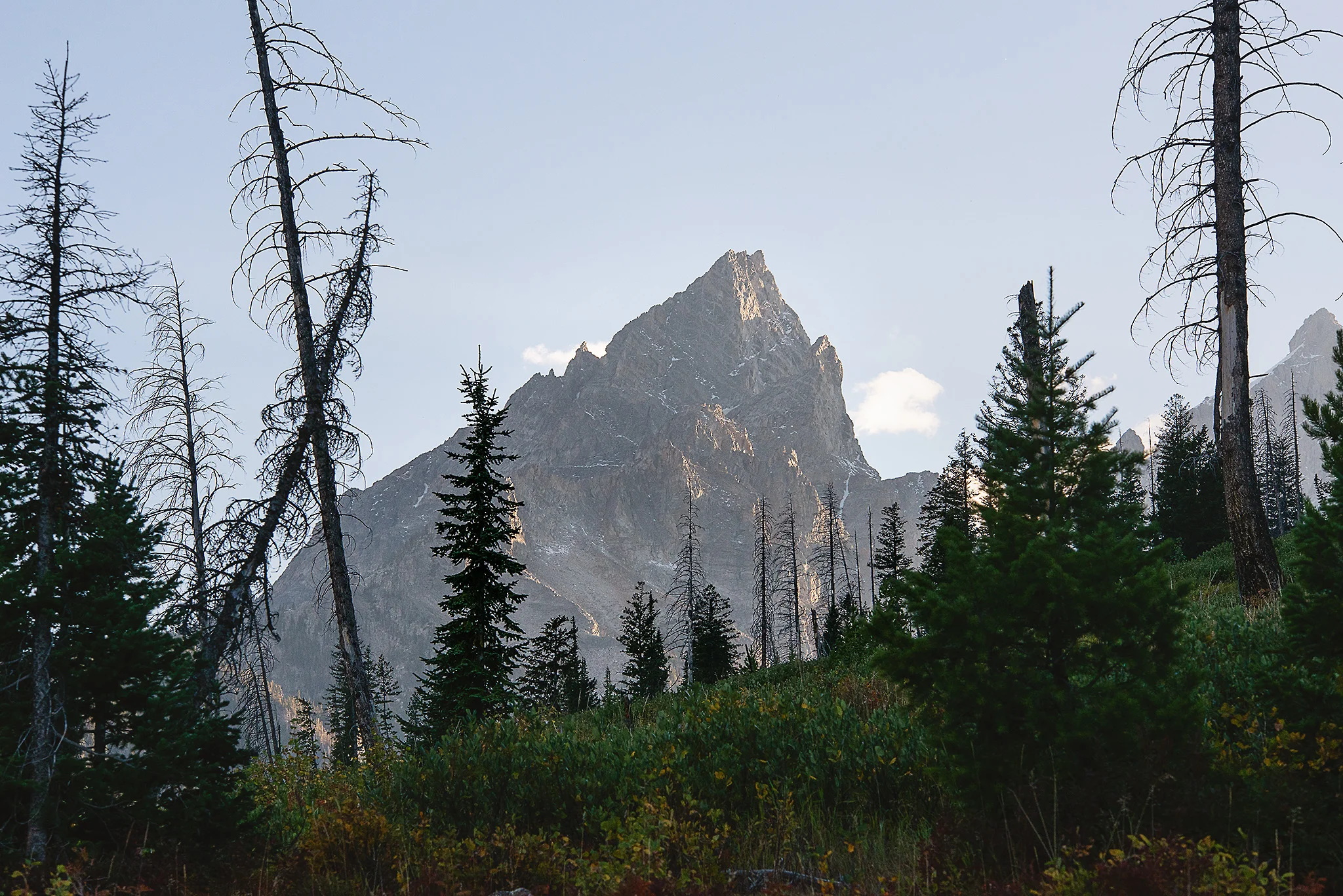 D18_4150_090418.jpg
