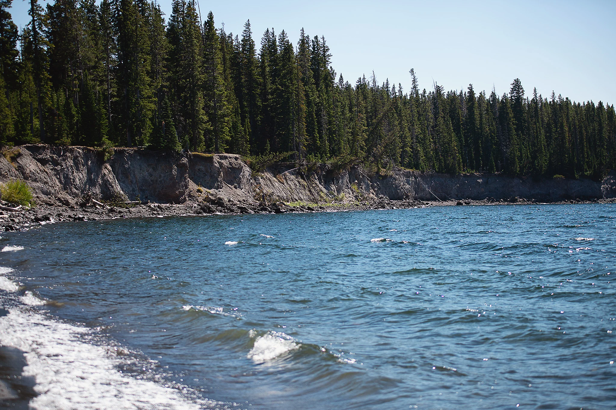 D18_4196_090518.jpg