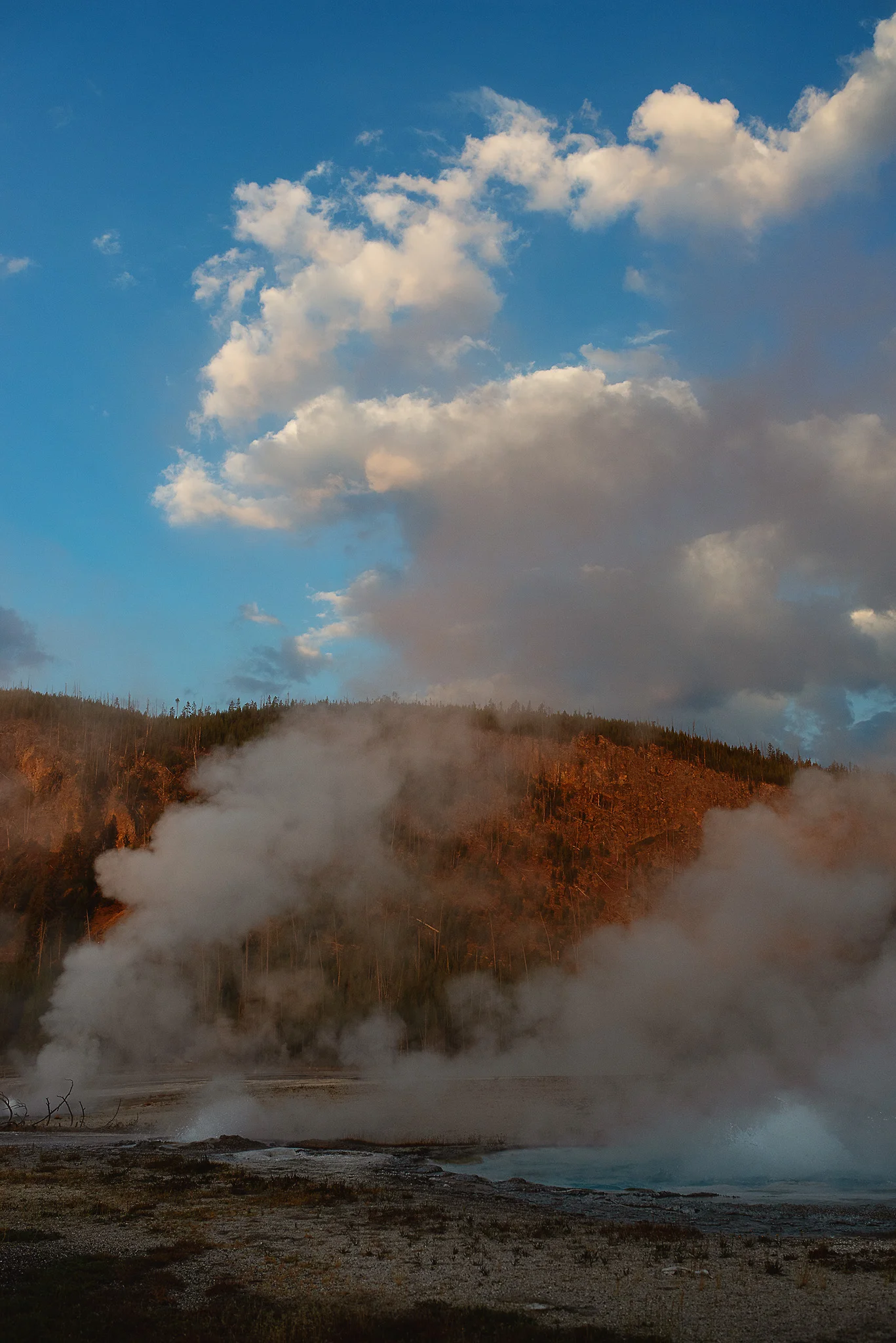 D18_4322_090618.jpg