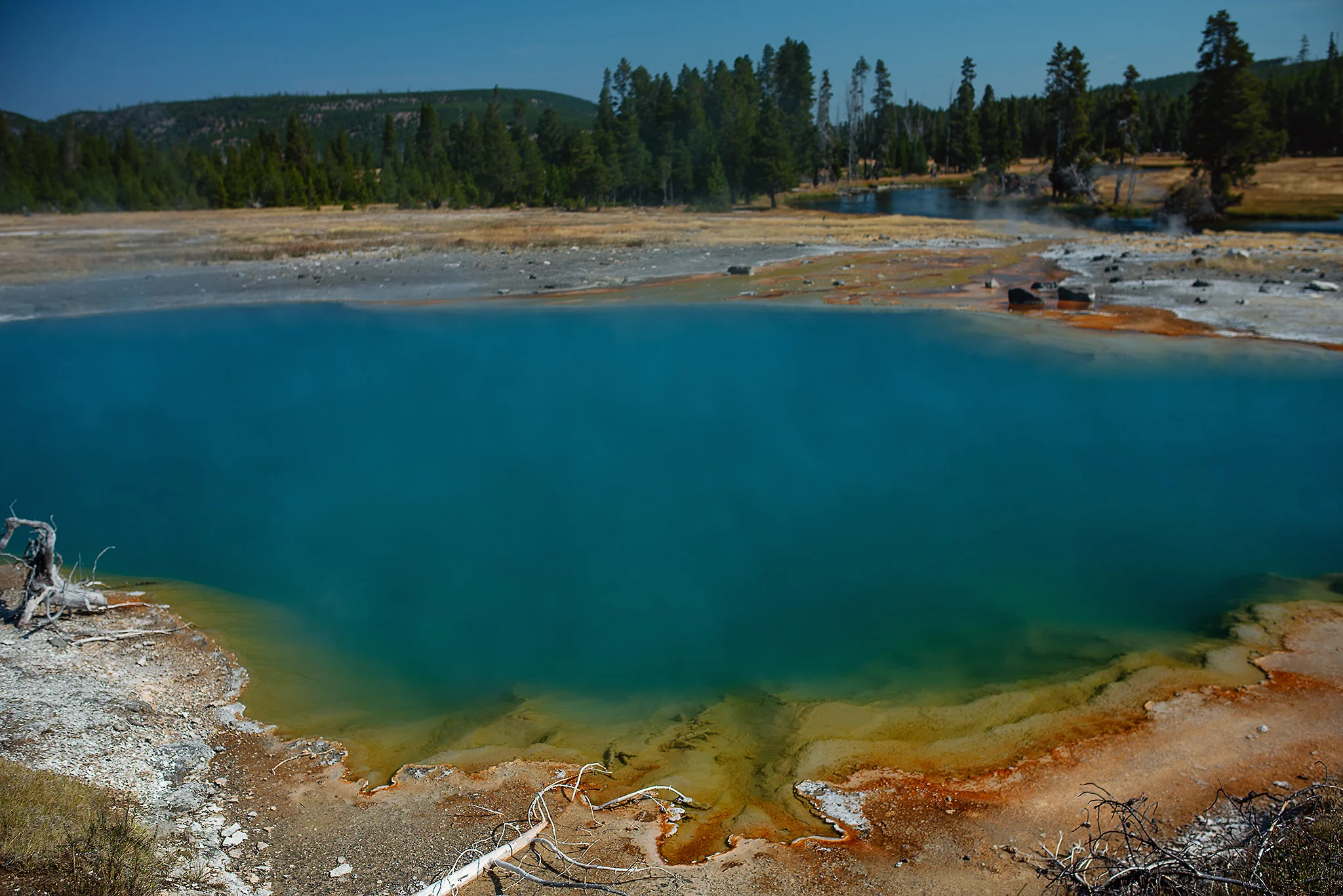 D18_4466_090618.jpg