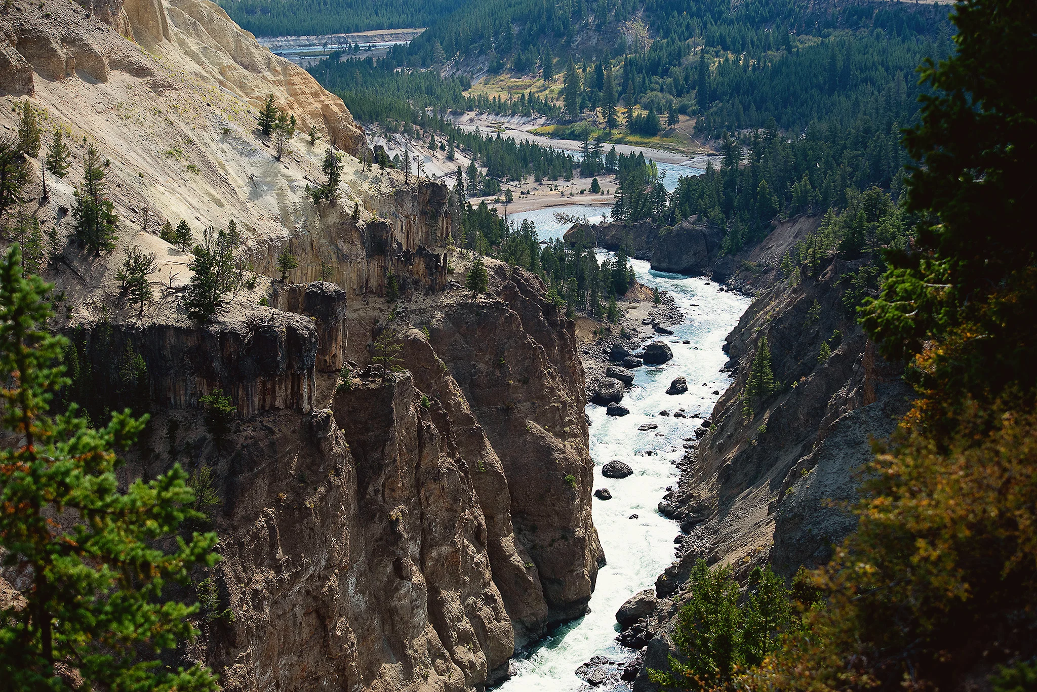 D18_4520_090718.jpg