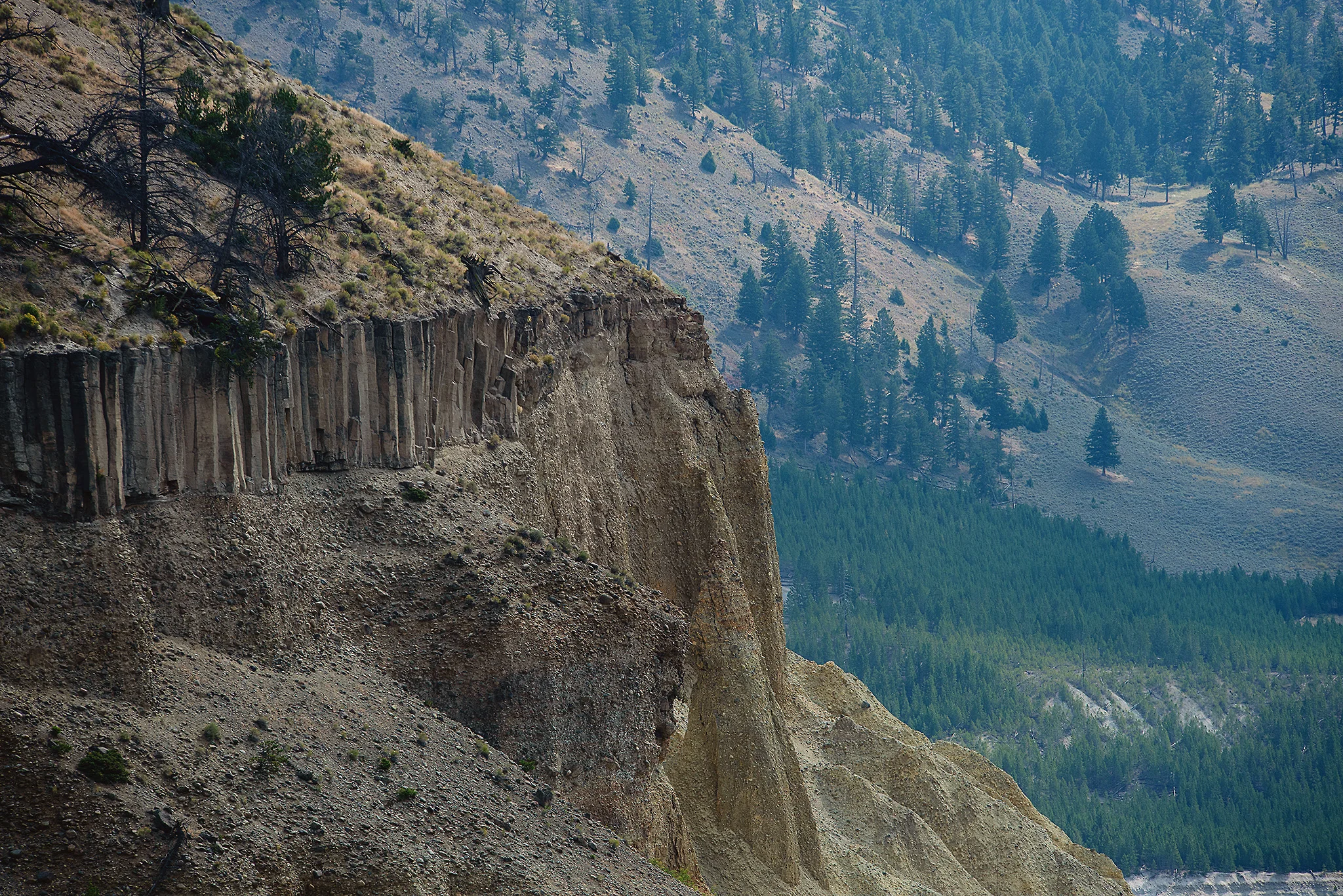 D18_4524_090718.jpg