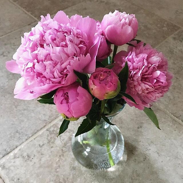 I did an experiment. I cut this handful of blooms as tight buds, wrapped them in newspaper, and put them in the refrigerator. I didn&rsquo;t think it would actually work, honestly. But yesterday morning I pulled them out and put them in this vase. It