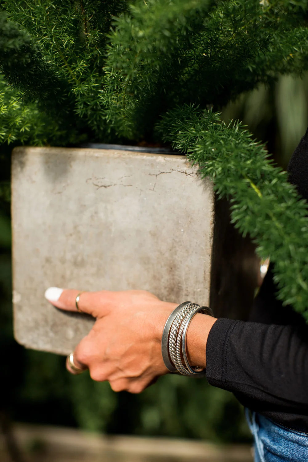 The Delta — Maple & J