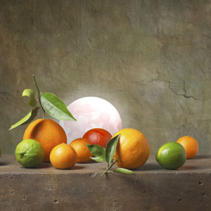 still-life.jpg