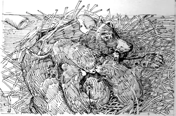 littledevils_artpg4_2.jpg