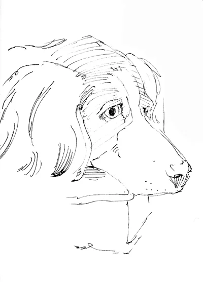 Oh, my dog Matilda is upset because I did a cat book. Don't worry, Mattie, I am doing another dog story right now! (Sheeesh!)