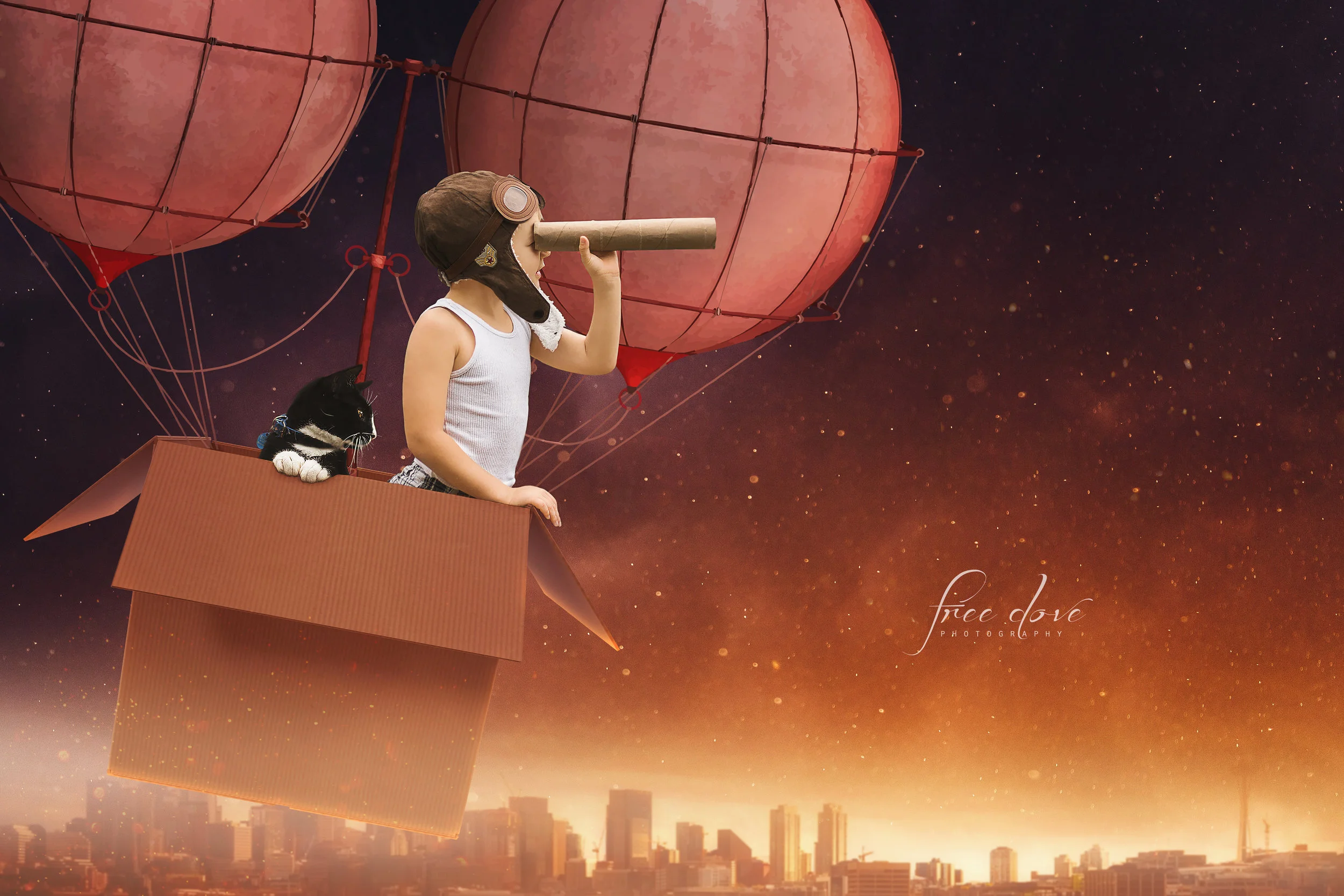 hotairballoonSocksL1.jpg