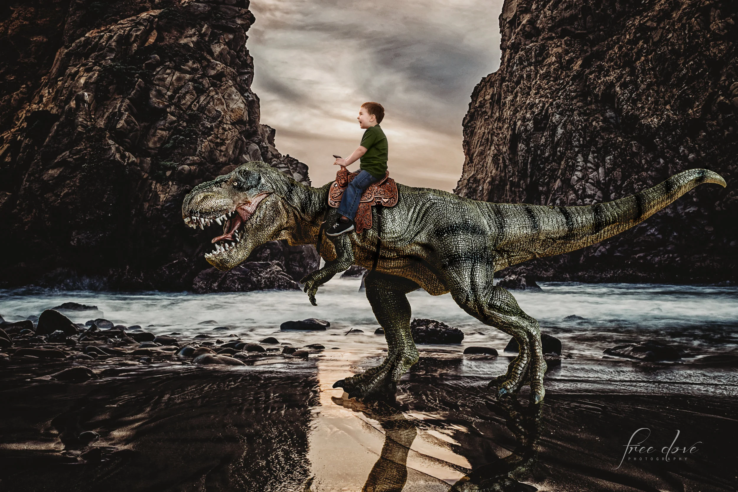 TrexCompositeL1.jpg