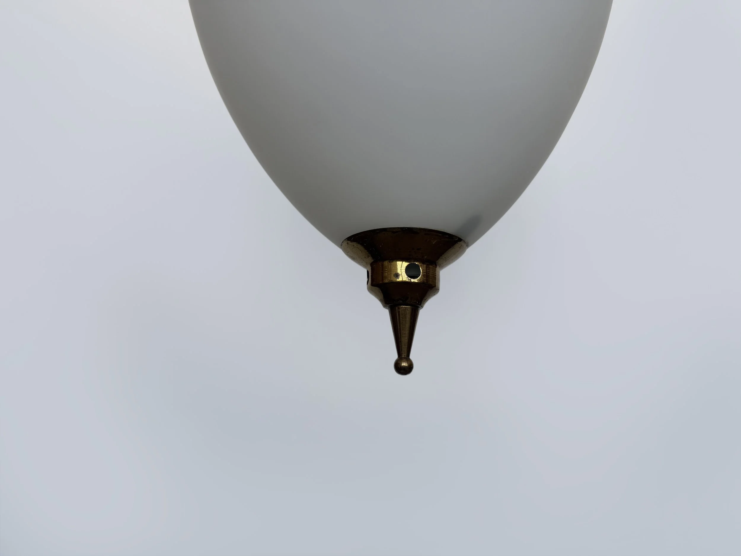 IMG_2314.jpeg