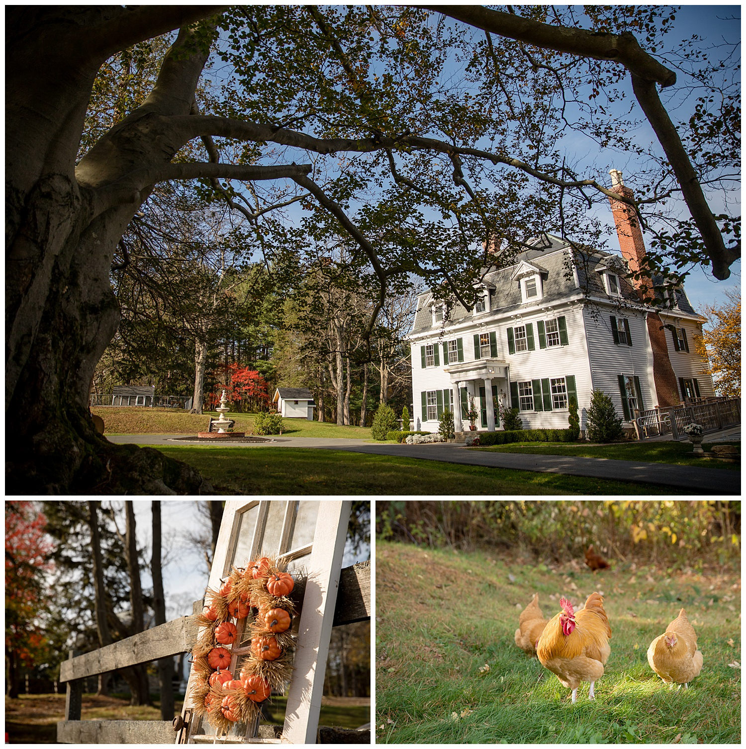 Peirce-farm-at-witch-hill-wedding-photography